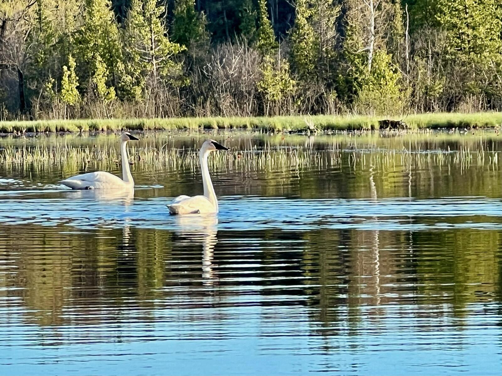 Alpena, Michigan, 49707, United States, 4 Bedrooms Bedrooms, ,4 BathroomsBathrooms,Residential,For Sale,2005523