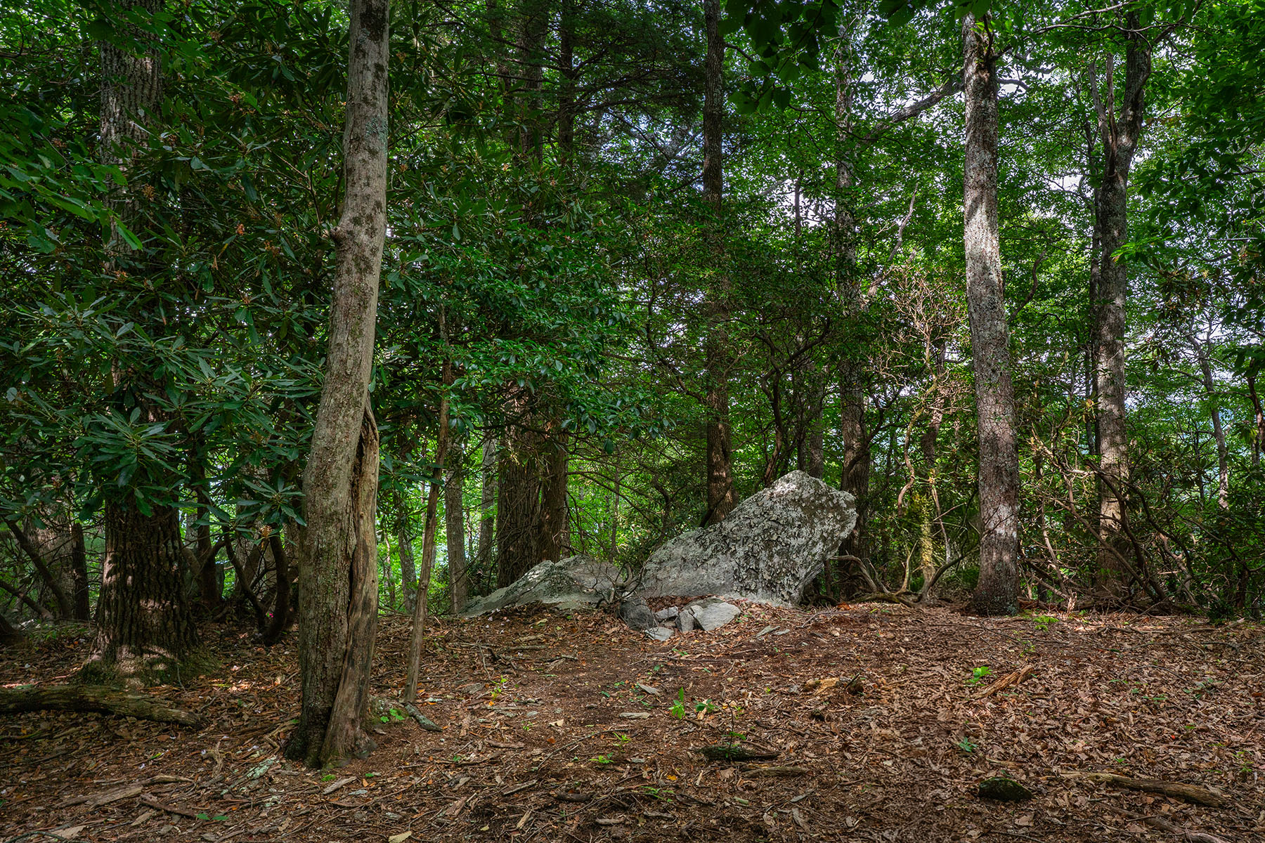  THE ORCHARDS OF MAYVIEW - BLOWING ROCK - 物件實景