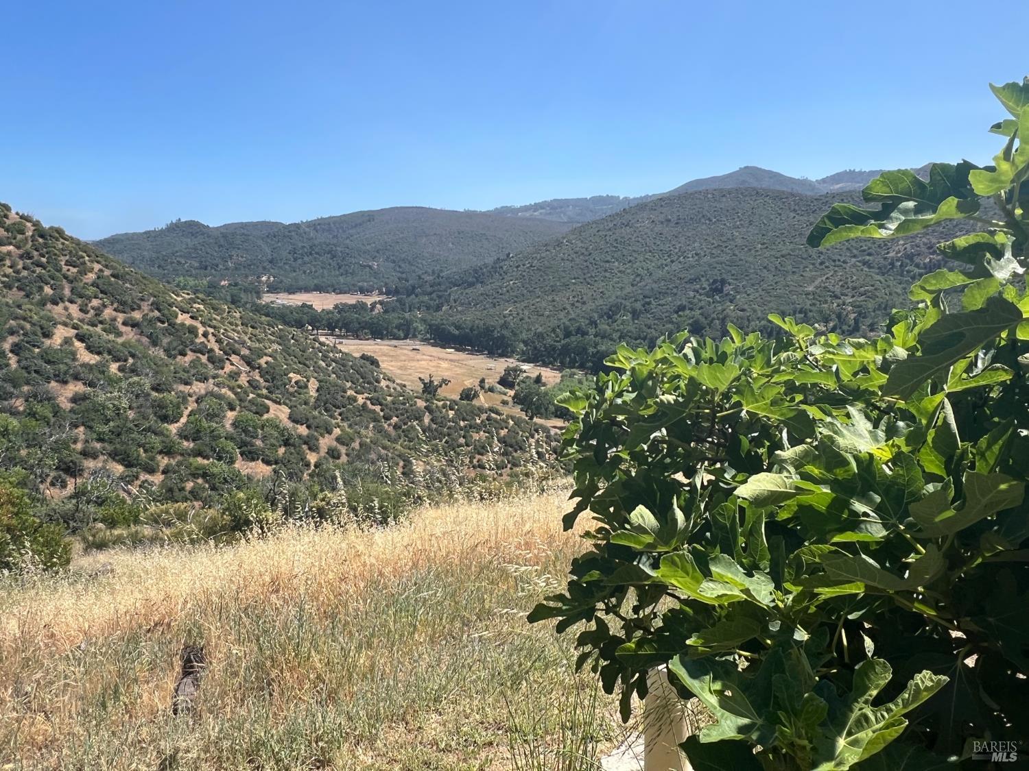 Napa, California, 94558, United States, 4 Bedrooms Bedrooms, ,3 BathroomsBathrooms,Residential,For Sale,1987596