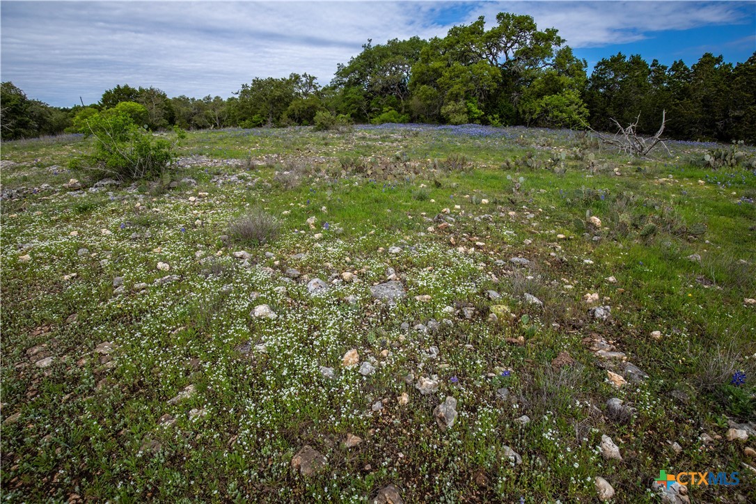 San Marcos, Texas, 78666, United States, ,Land,For Sale,1990898