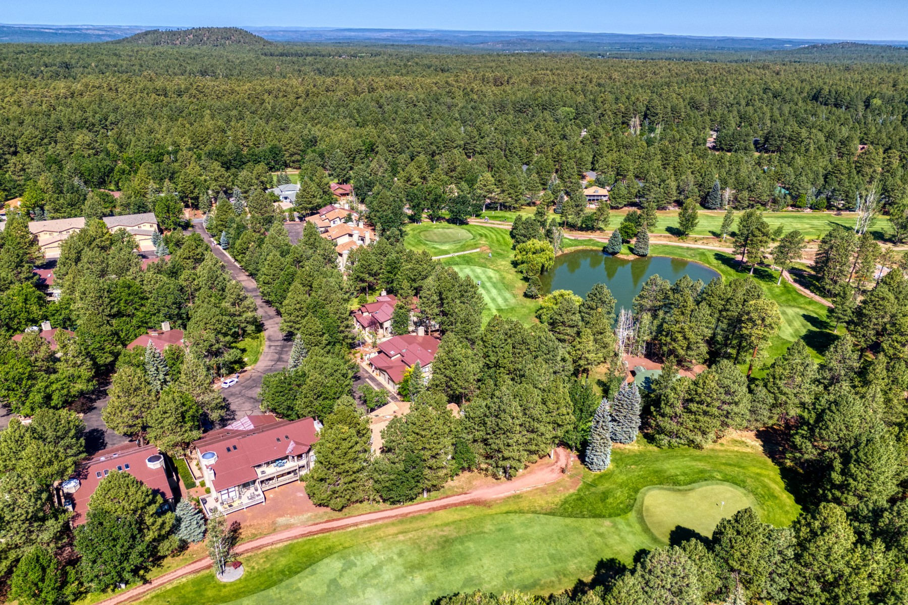  3651 Crown Dancer Drive¦Pinetop, AZ, - 物件實景