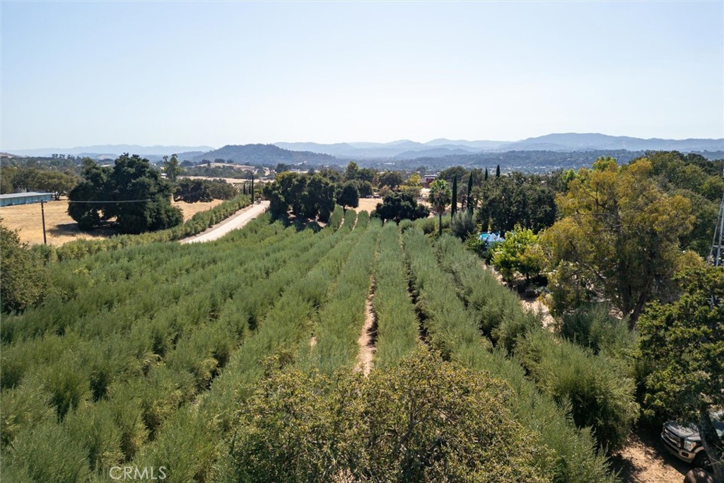 Templeton, California, 93465, United States, 3 Bedrooms Bedrooms, ,2 BathroomsBathrooms,Residential,For Sale,1981498