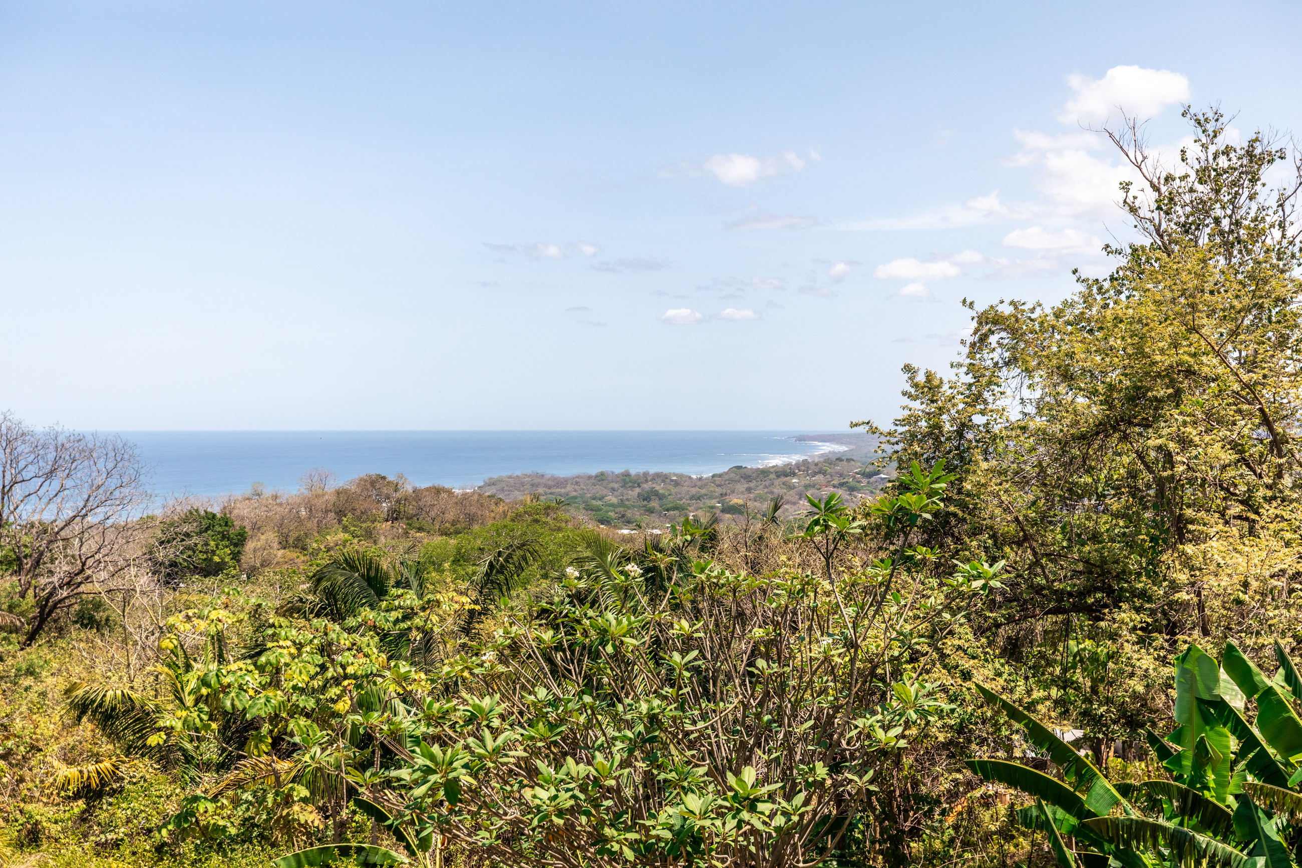 EE-14, Nosara, Guanacaste, CR, 4 Bedrooms Bedrooms, ,4 BathroomsBathrooms,Residential,For Sale,EE-14,1617274