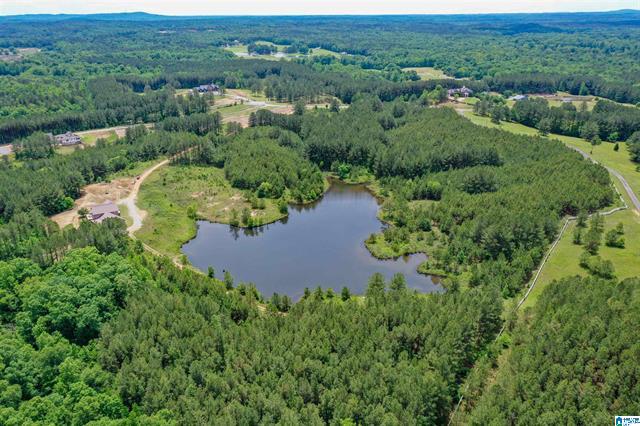 Columbiana, Alabama, 35051, United States, 3 Bedrooms Bedrooms, ,2 BathroomsBathrooms,Residential,For Sale,1975847