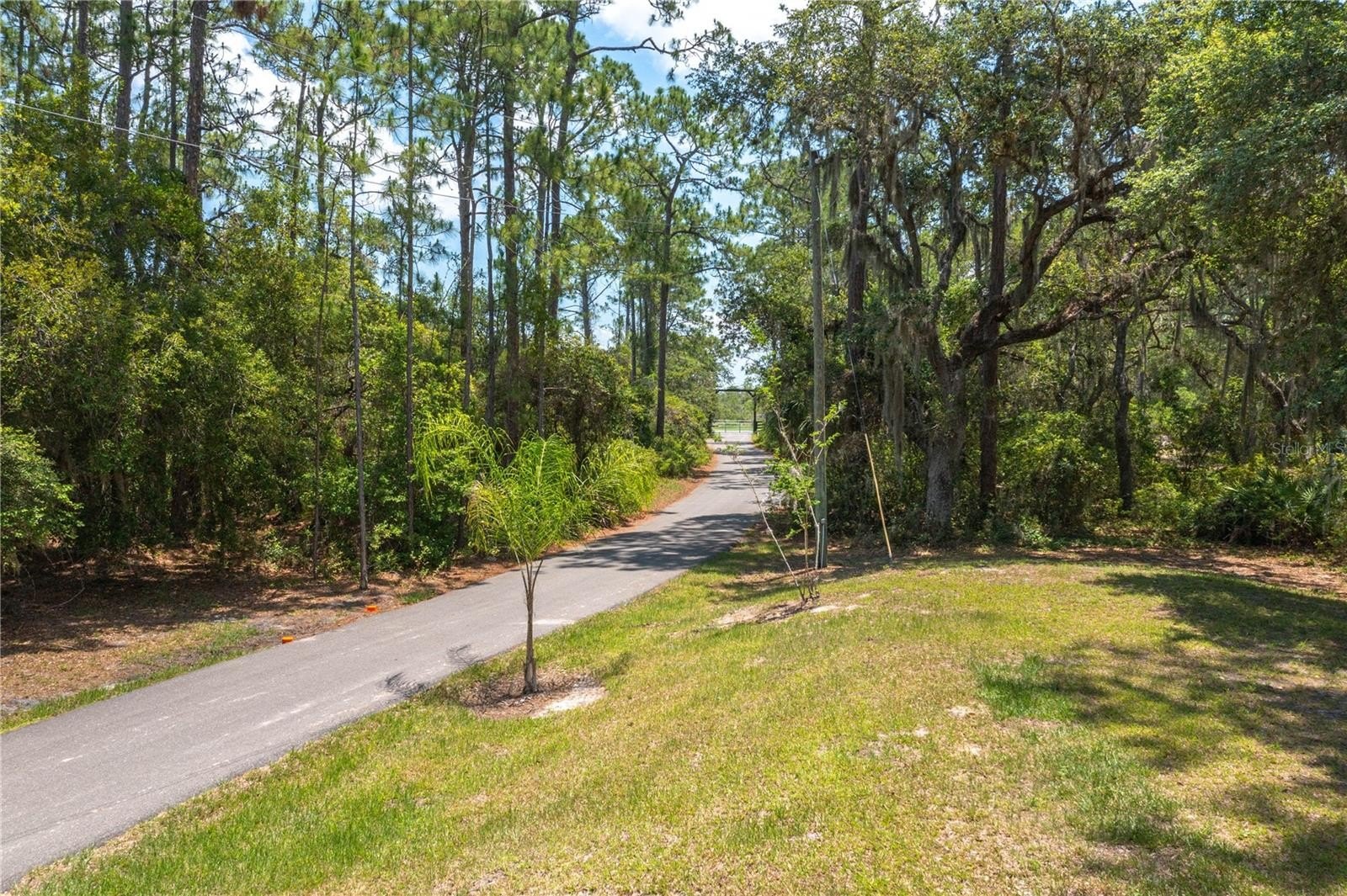 LAKE WALES, Florida, 33898, United States, 3 Bedrooms Bedrooms, ,3 BathroomsBathrooms,Residential,For Sale,1846295