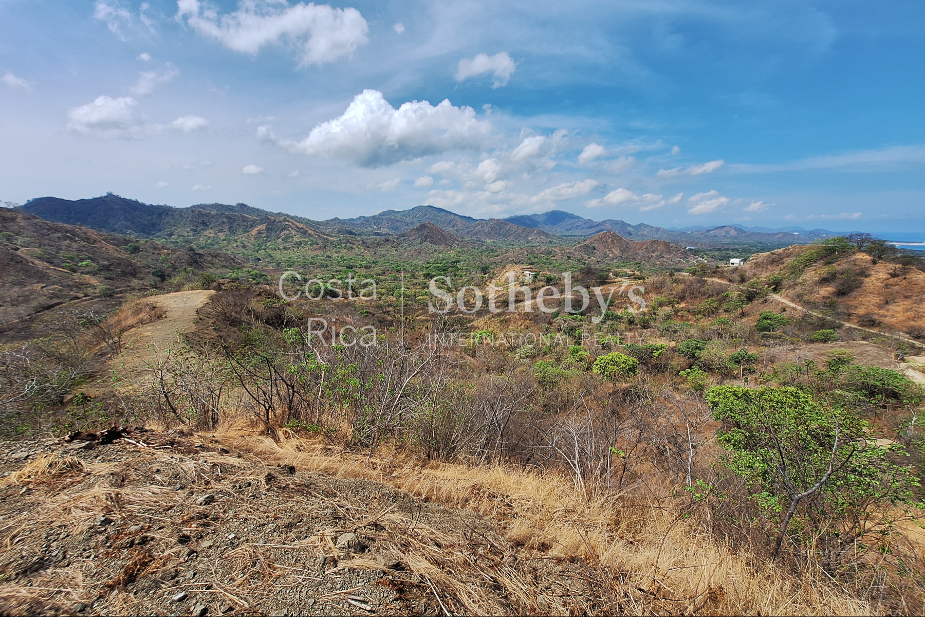  100ha+ development property behind Flamingo - 物件實景