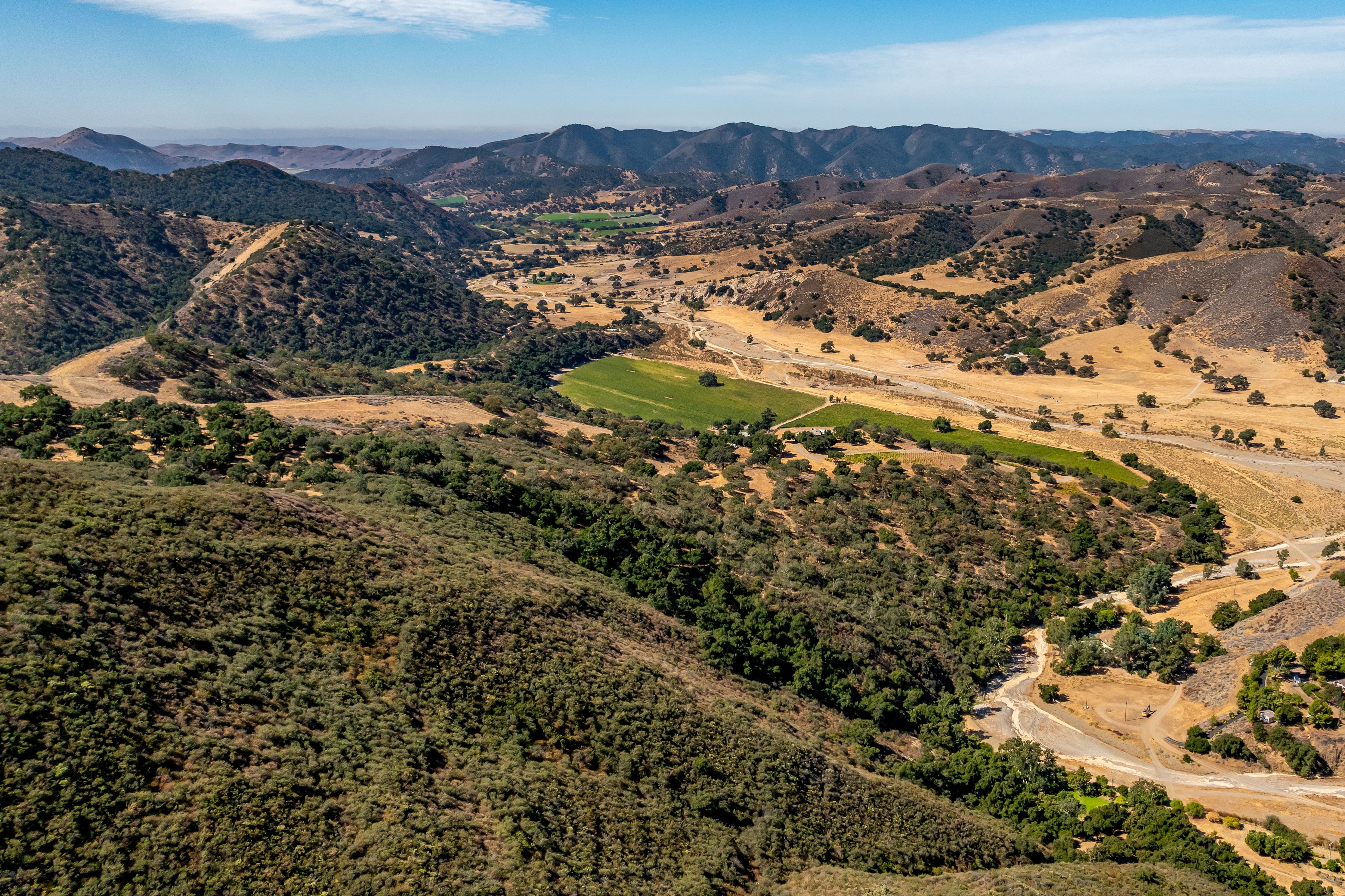  Extraordinary Vineyard Estate - 物件實景