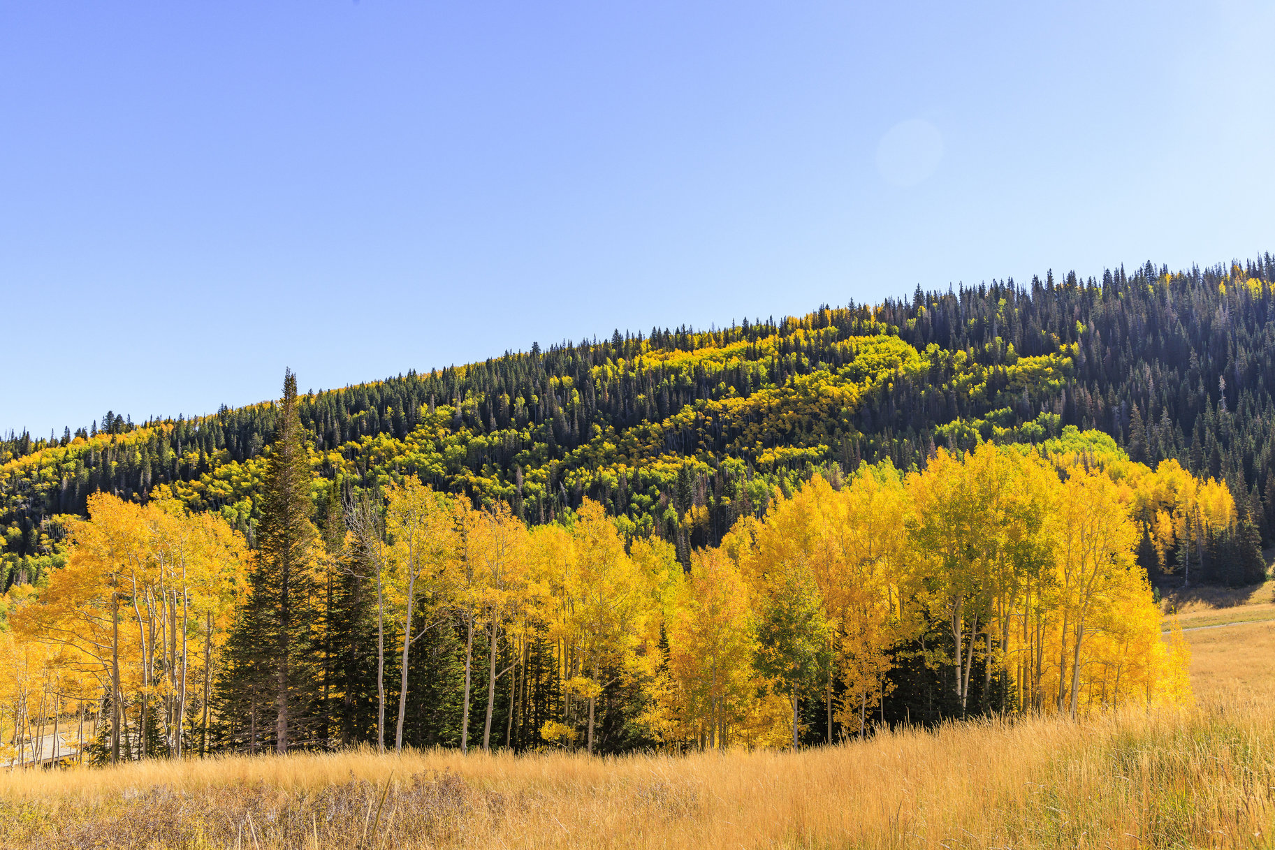  Incredible 28 Acre Estate Lot in the Colony at White Pine Canyon - 物件實景