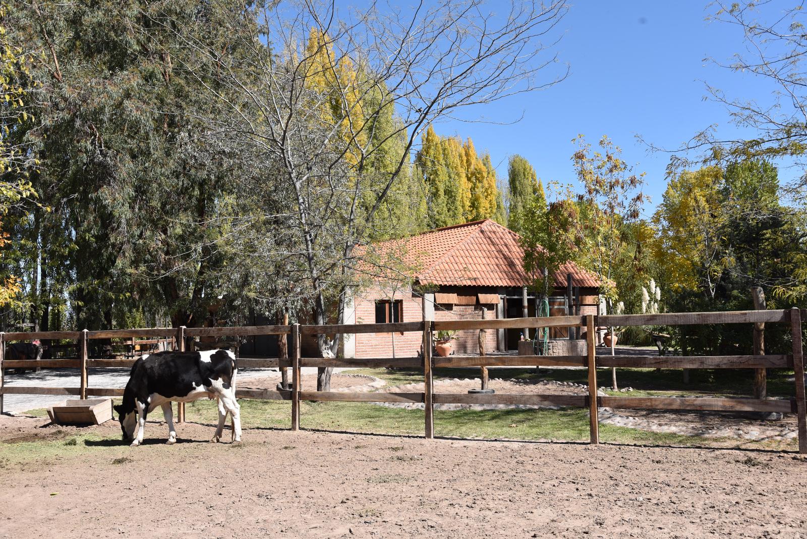 Lujan De Cuyo, AR-M, AR, 5 Bedrooms Bedrooms, ,8 BathroomsBathrooms,Residential,For Sale,1999071