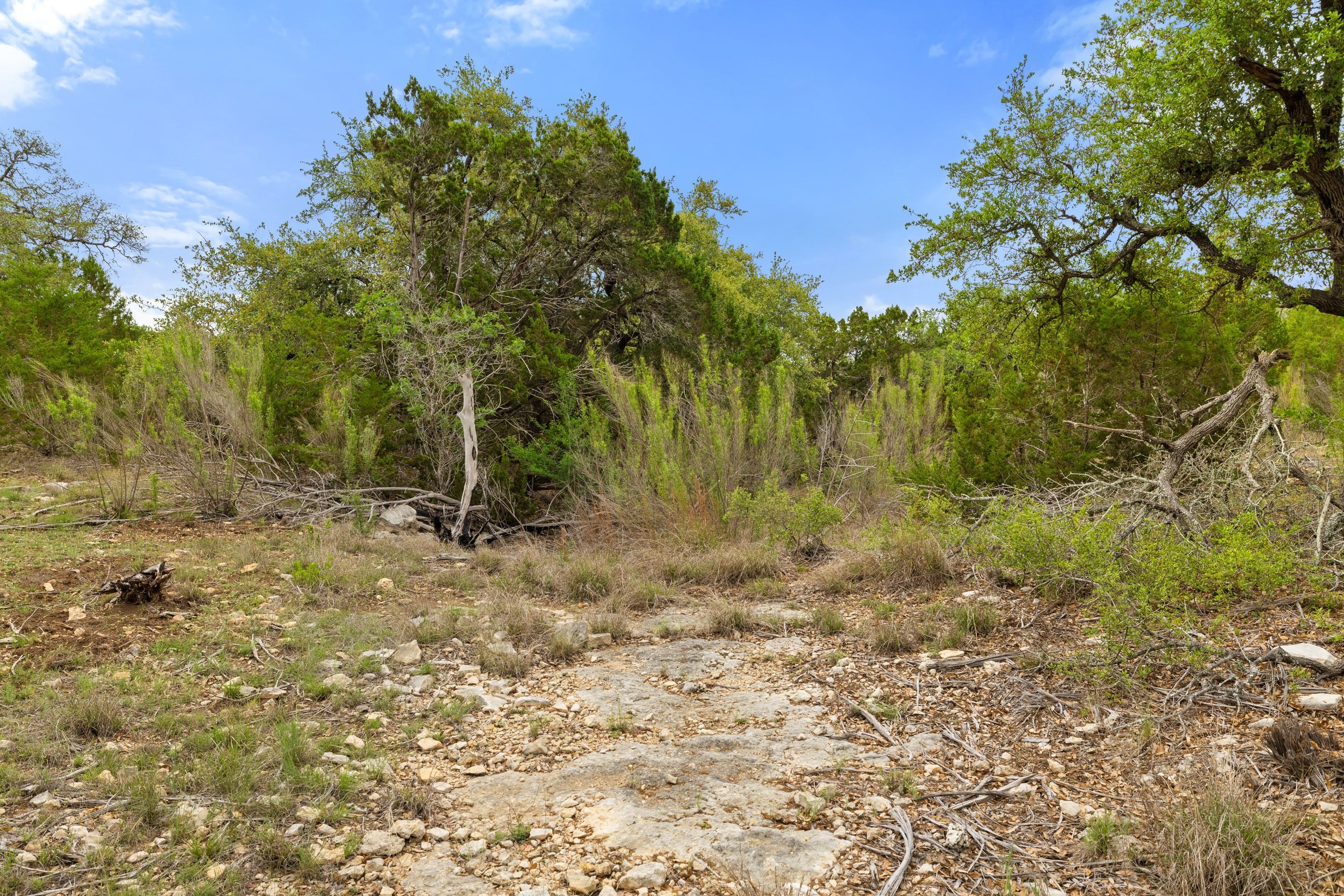  83 S Flat Rock Way - 5 Acre Lot in Gated Legacy Hills - 物件實景