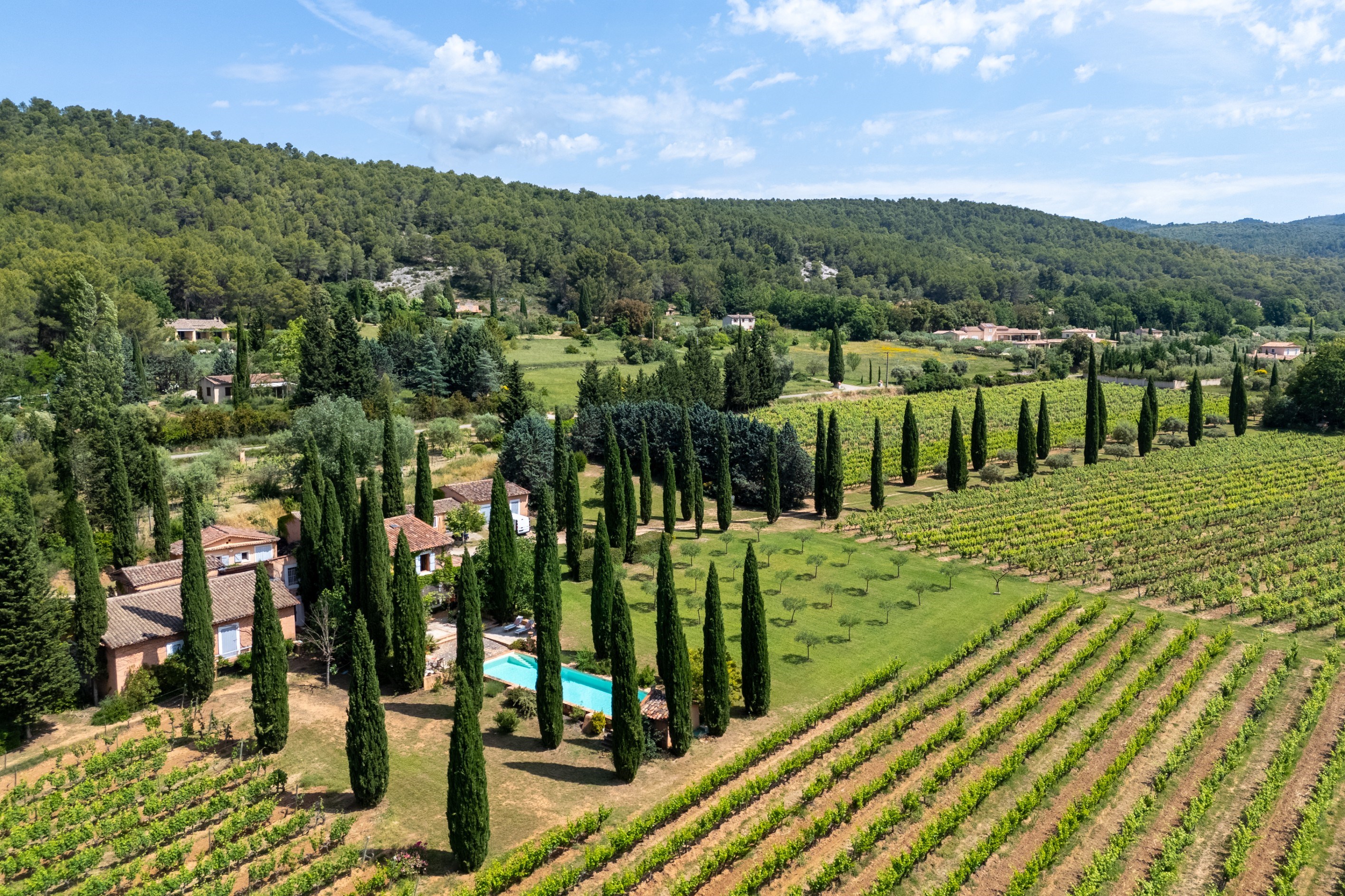  Charming Wine Estate in the Heart of Provence - 物件實景