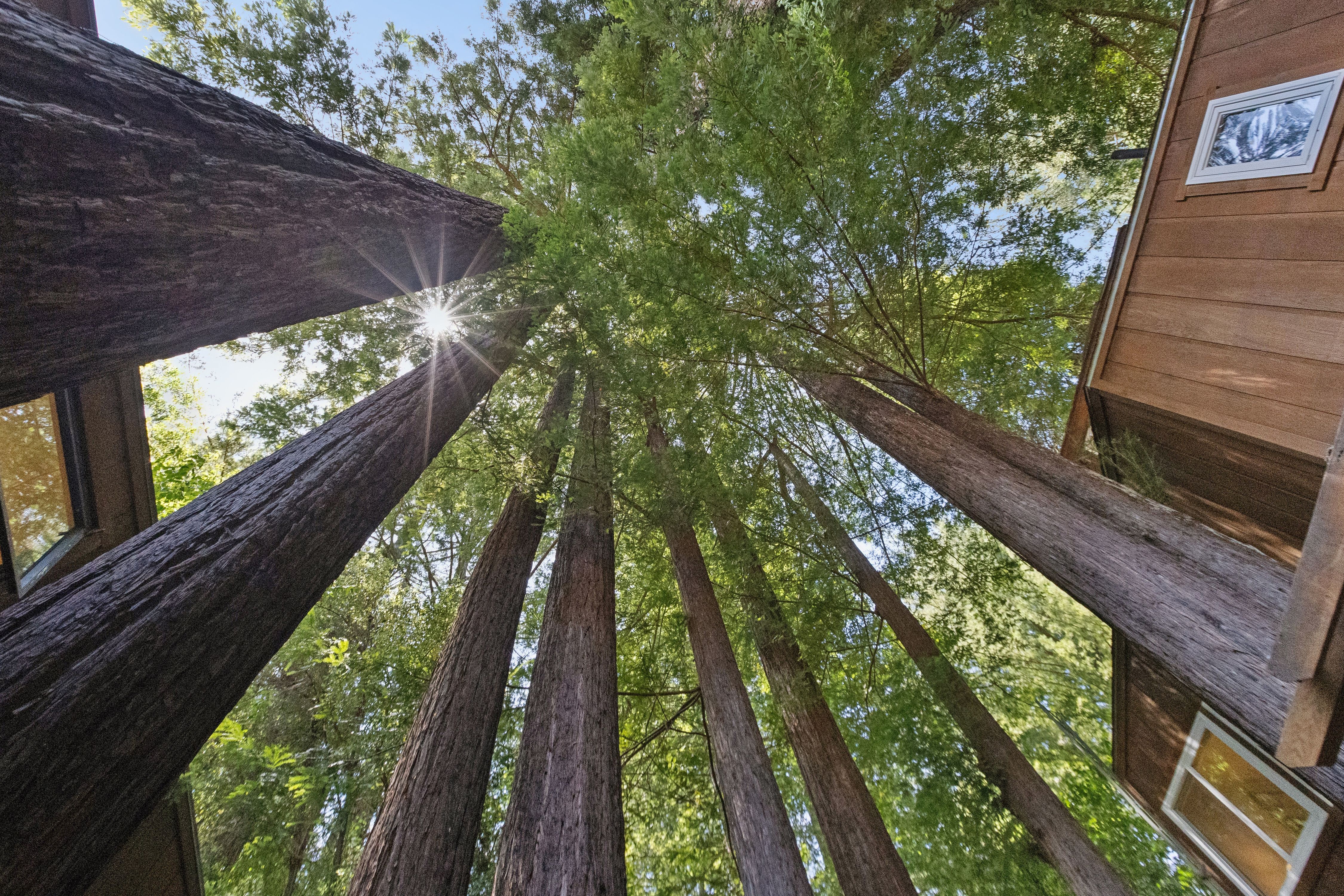  Magical Madrone Canyon Retreat - 物件實景