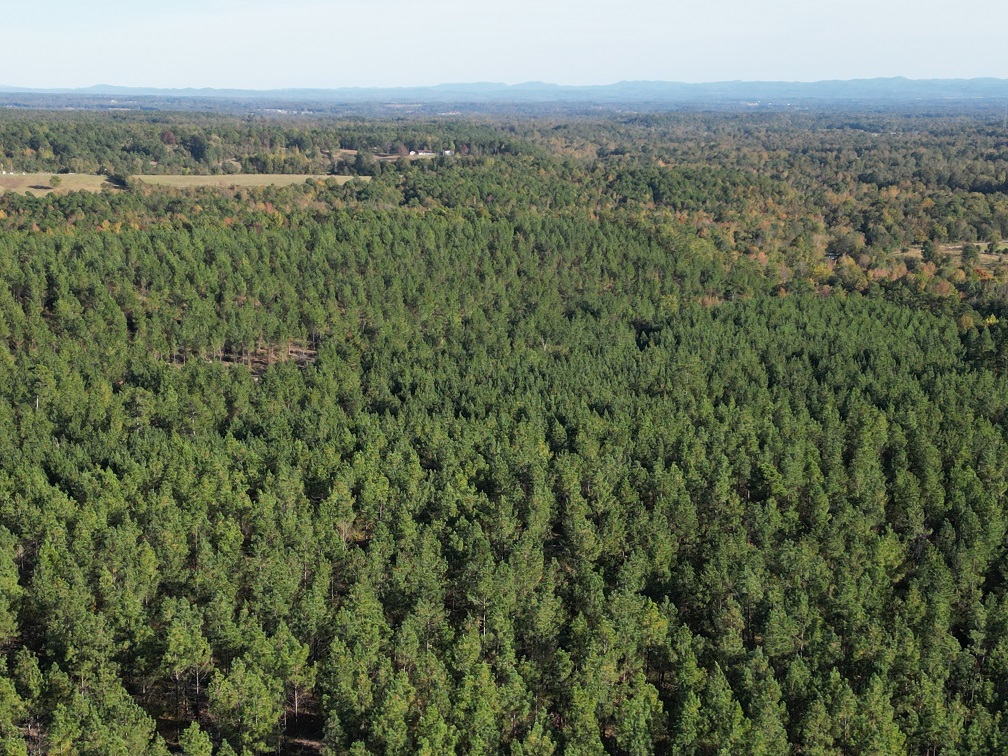 Mena, Arkansas, 71953, United States, ,Land,For Sale,1973758