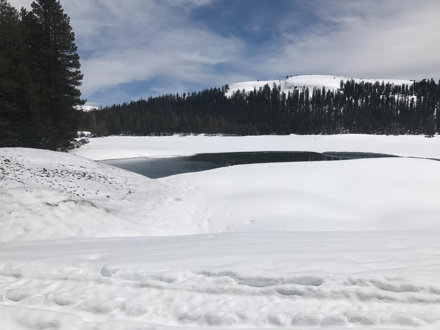 Arnold, California, 95223, United States, 3 Bedrooms Bedrooms, ,2 BathroomsBathrooms,Residential,For Sale,2005489