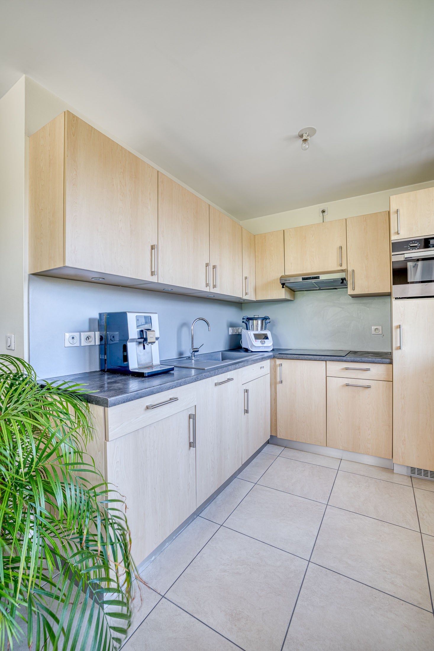  Bright apartment in the heart of Annecy with mountain views - 物件實景