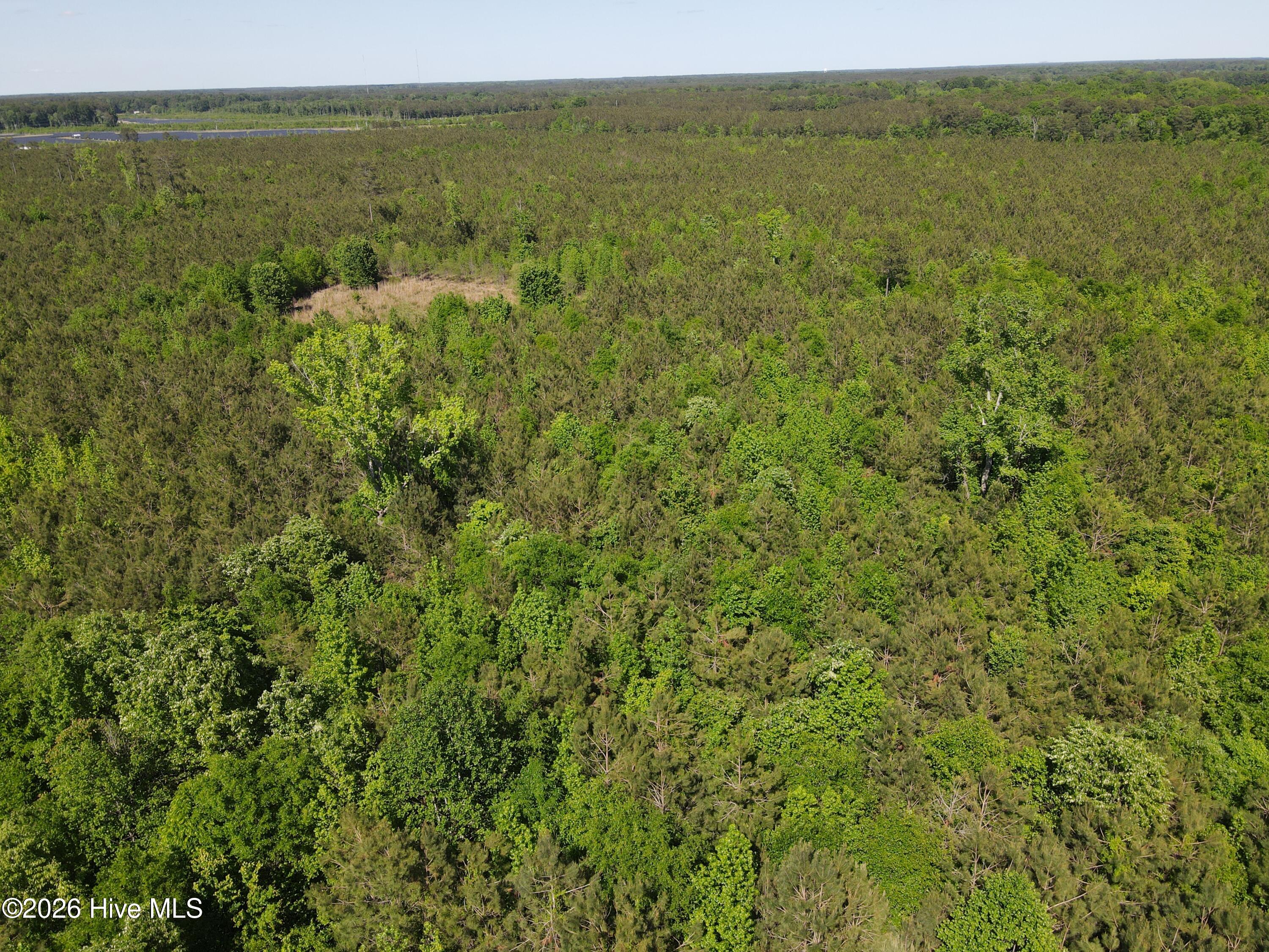 Ahoskie, North Carolina, 27910, United States, ,Land,For Sale,2048833
