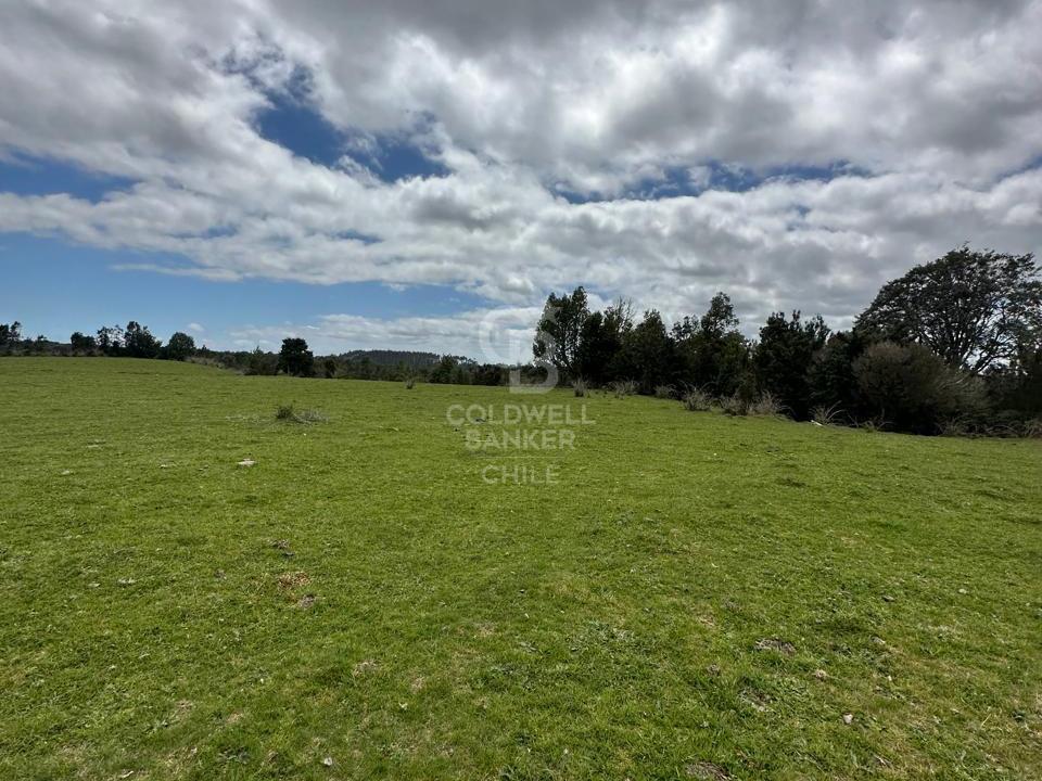 Maullín, Chile, ,Residential,For Sale,1994517