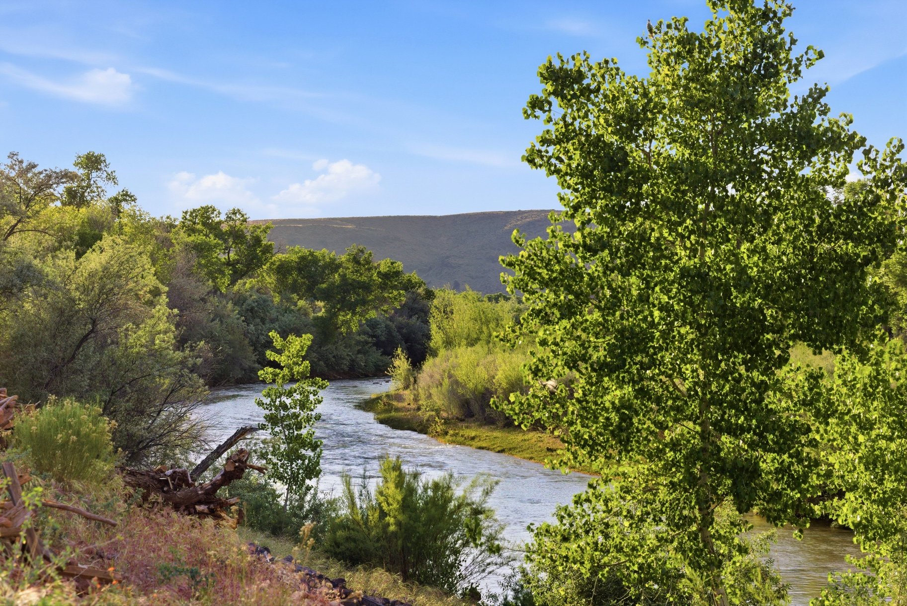  Hidden Oasis Along the River in Rockville, UT - 物件實景