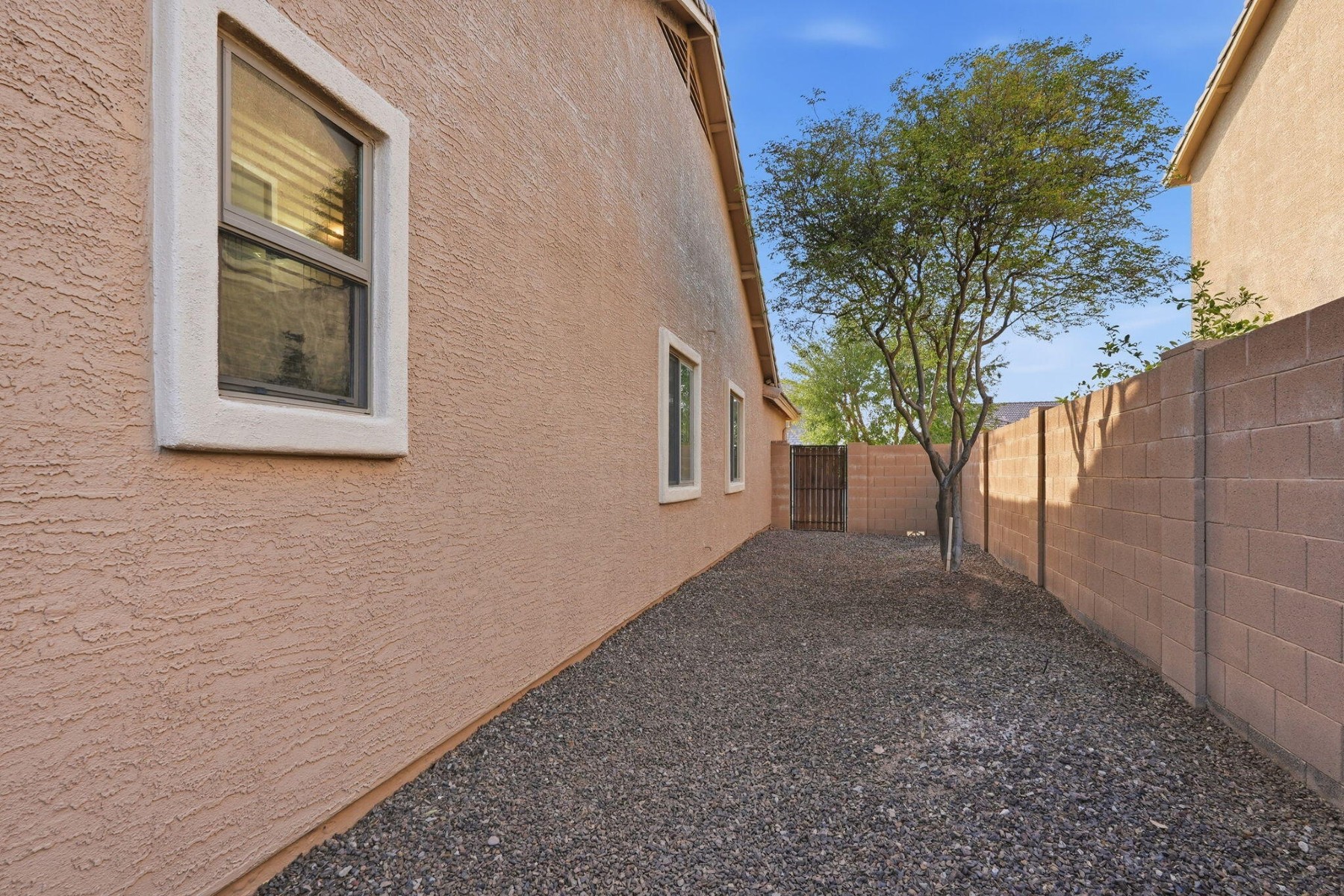  29515 N Little Leaf Dr ¦ San Tan Valley, AZ - 物件實景