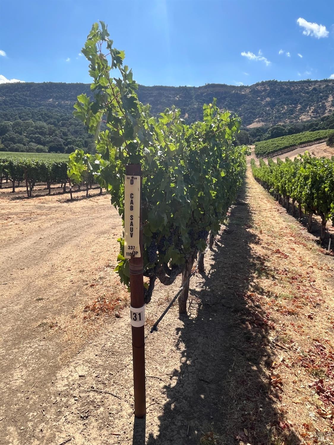 Napa, California, 94558, United States, 3 Bedrooms Bedrooms, ,3 BathroomsBathrooms,Residential,For Sale,1991897