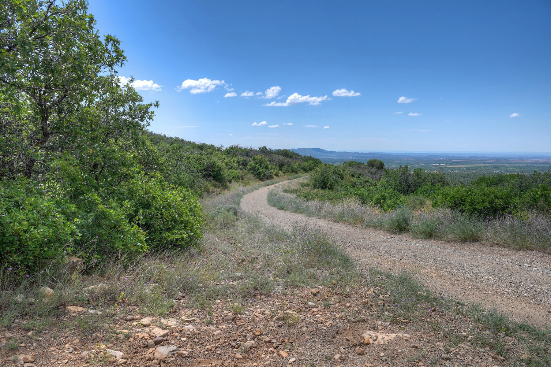 TBD Cross Creek Road, Hesperus, CO 81326 - 物件實景
