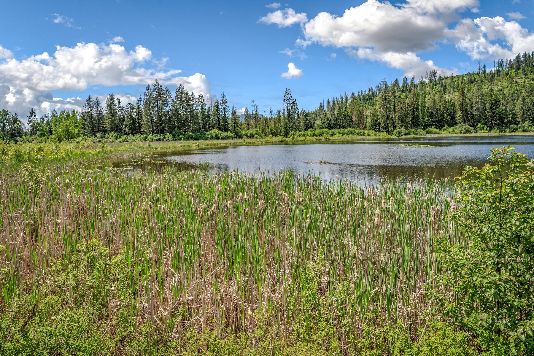  Lake Retreat on Private Acreage - 物件實景