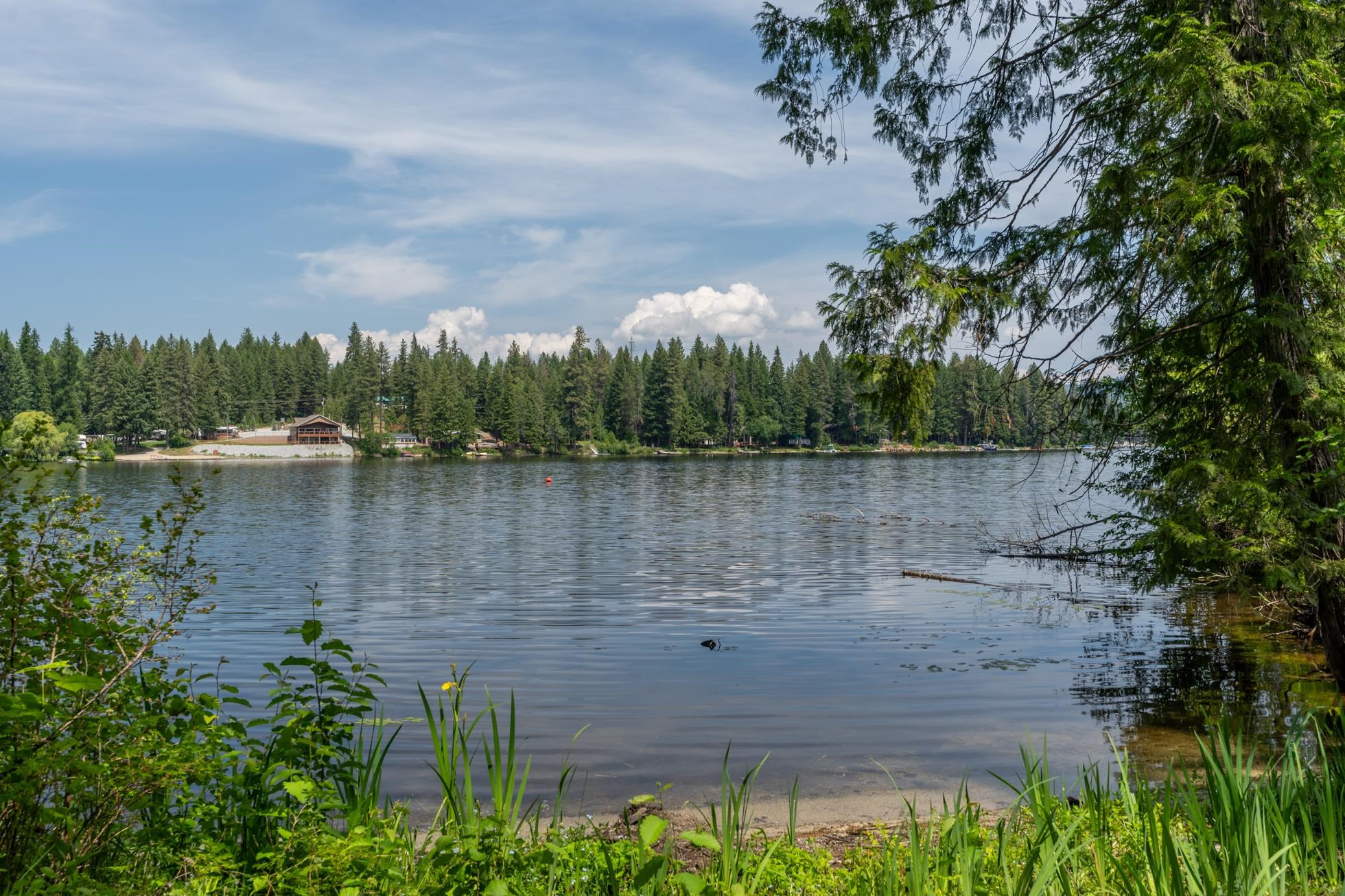 Newport, Washington, 99156, United States, ,Residential,For Sale,1869403