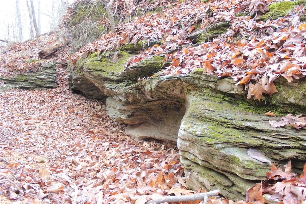 Rogers, Arkansas, 72756, United States, ,Land,For Sale,1966803