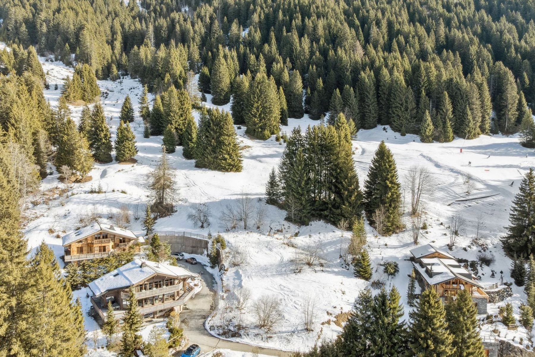  Les Chaux Fleuries - An exceptional chalet SKI IN SKI OUT - 物件實景