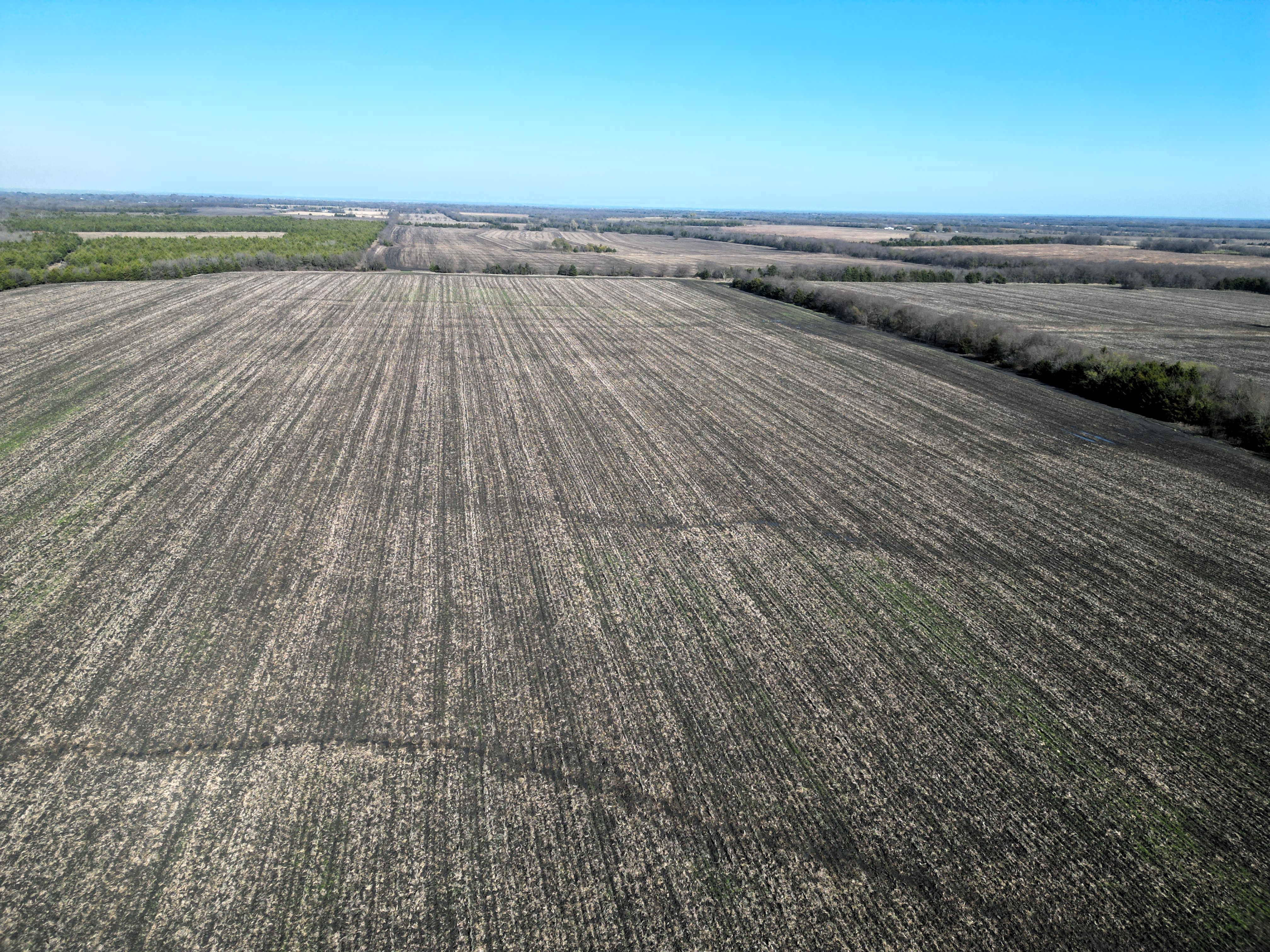 Commerce, Texas, 75428, United States, ,Land,For Sale,2001483