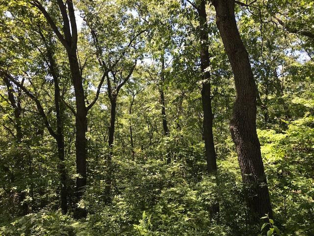 602 E Beverly Drive, Beverly Shores, Indiana, 46301, United States, ,Land,For Sale,602 E Beverly Drive,1614453