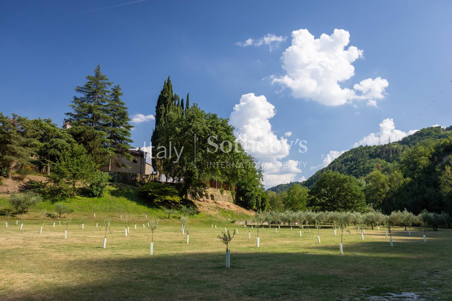  Villa with guest house and private park in the heart of Romagna - 物件實景