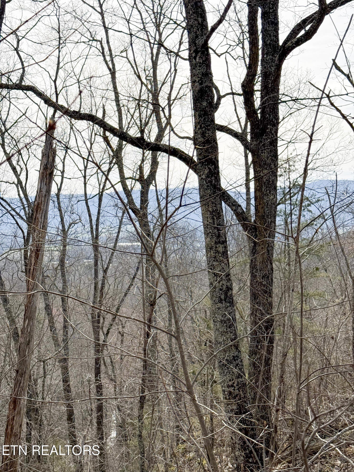 Pikeville, Tennessee, 37367, United States, 3 Bedrooms Bedrooms, ,2 BathroomsBathrooms,Residential,For Sale,1974789