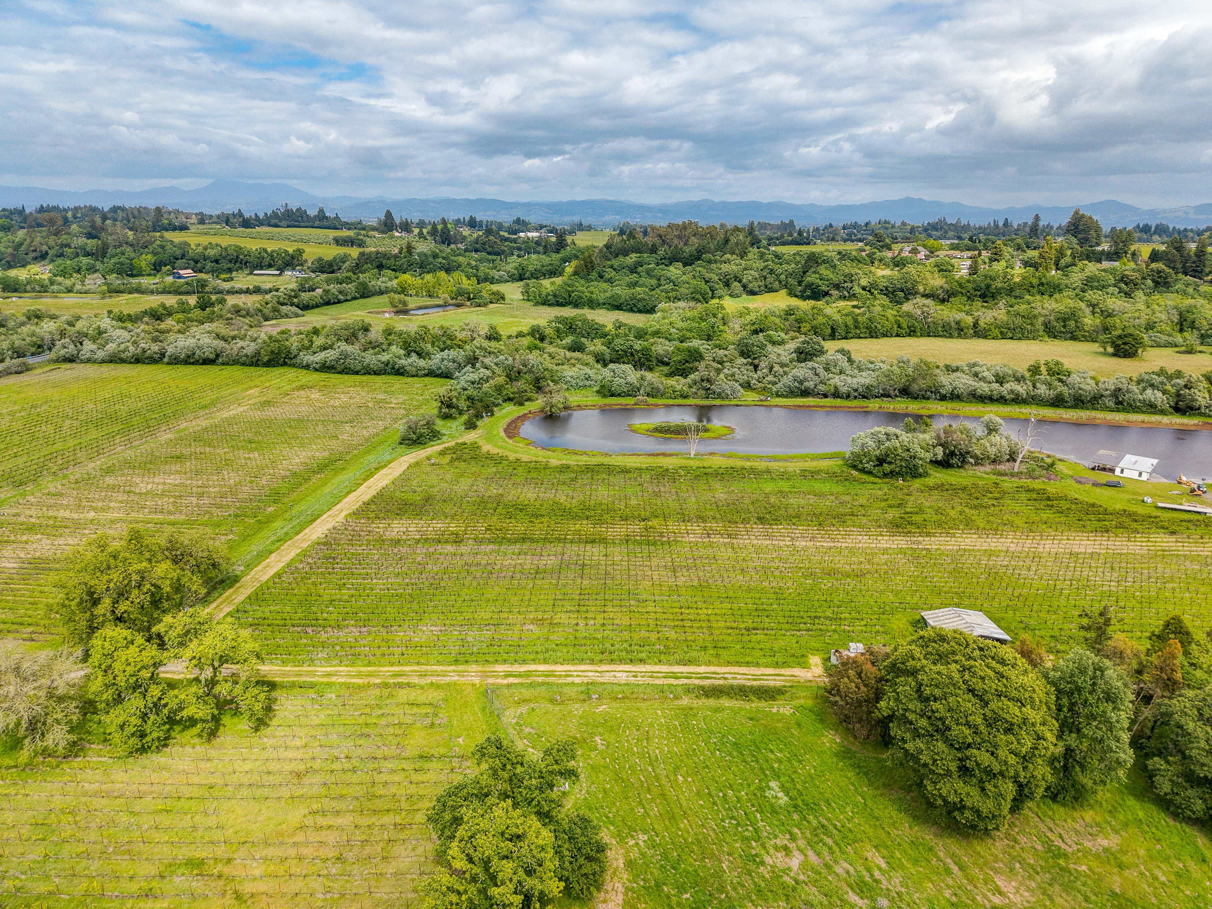  9700 Mill Station Road, Sebastopol, CA 95472 - 物件實景