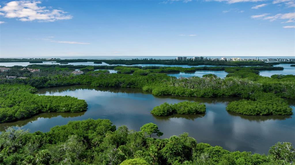 Osprey, Florida, 34229, United States, 3 Bedrooms Bedrooms, ,3 BathroomsBathrooms,Residential,For Sale,1992079