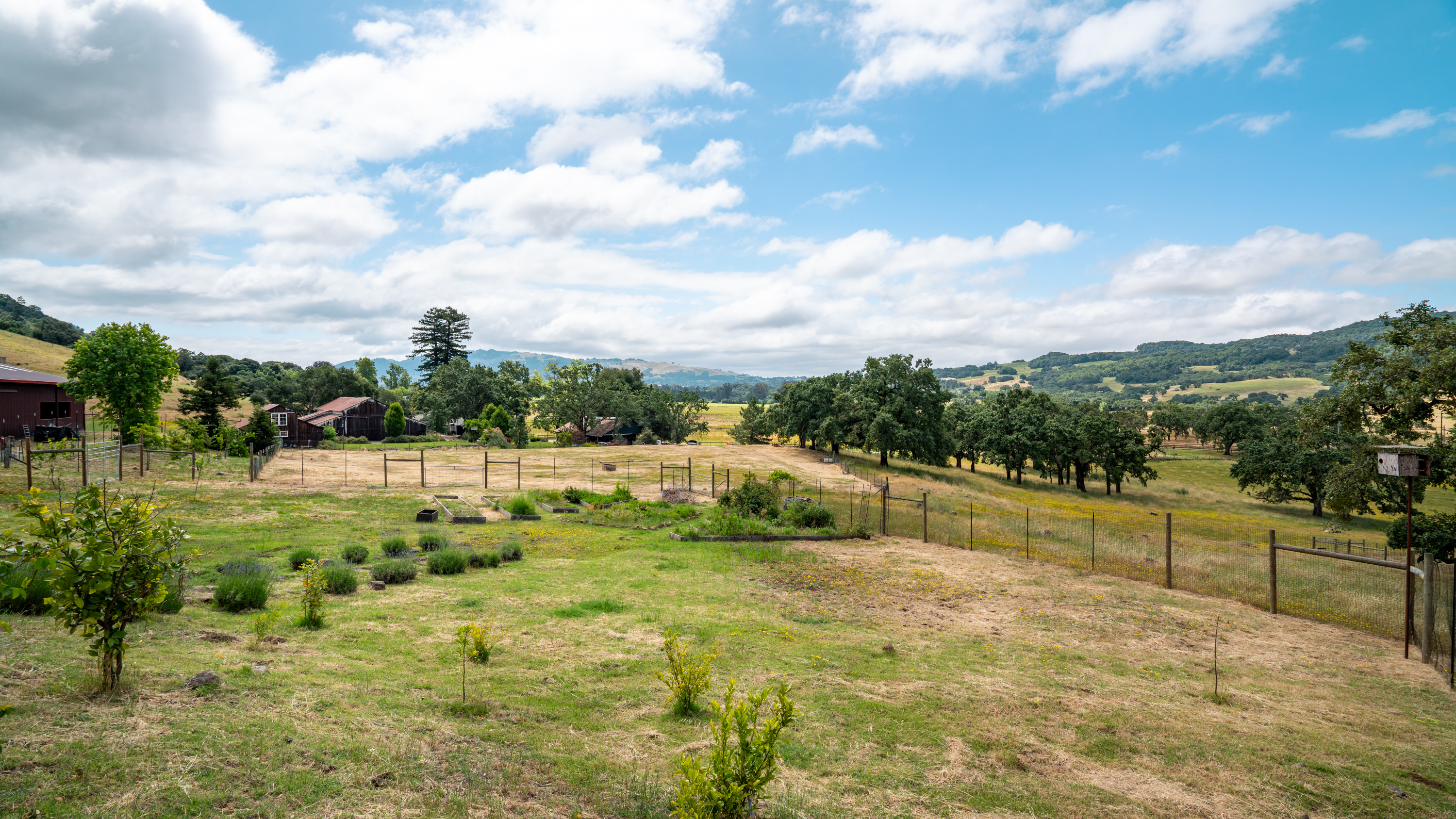  Exceptional Bennett Valley Country Estate - 物件實景