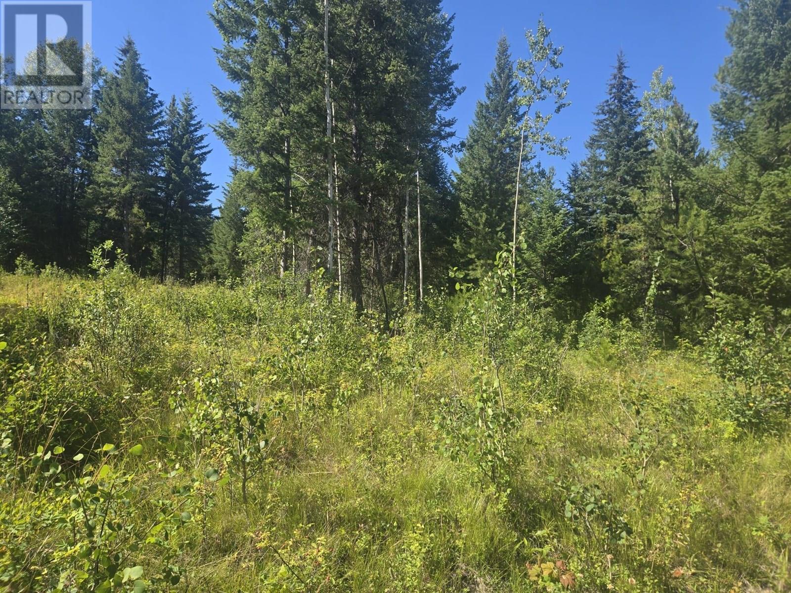FALKLAND, British Columbia, V0E 1W1, CA, ,Residential,For Sale,1906760