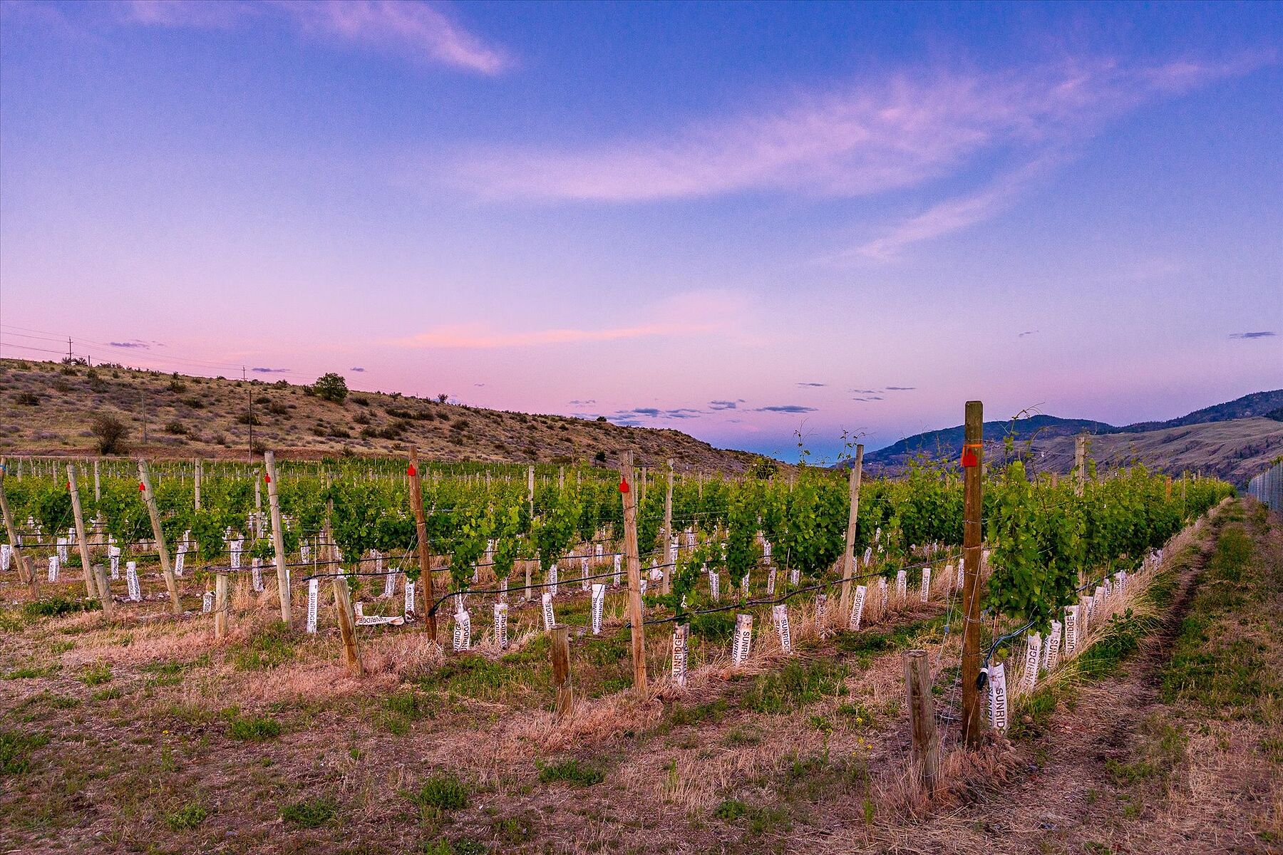  Oliver Winery Opportunity - 物件實景