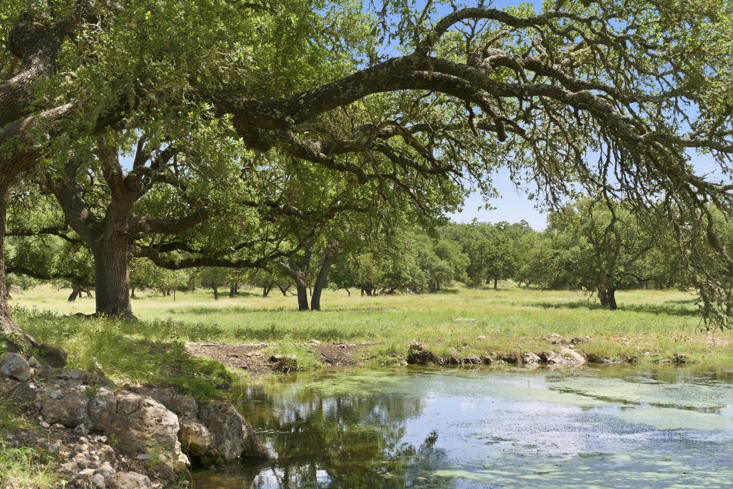  CavaLoma Ranch in Kerr COunty - 物件實景