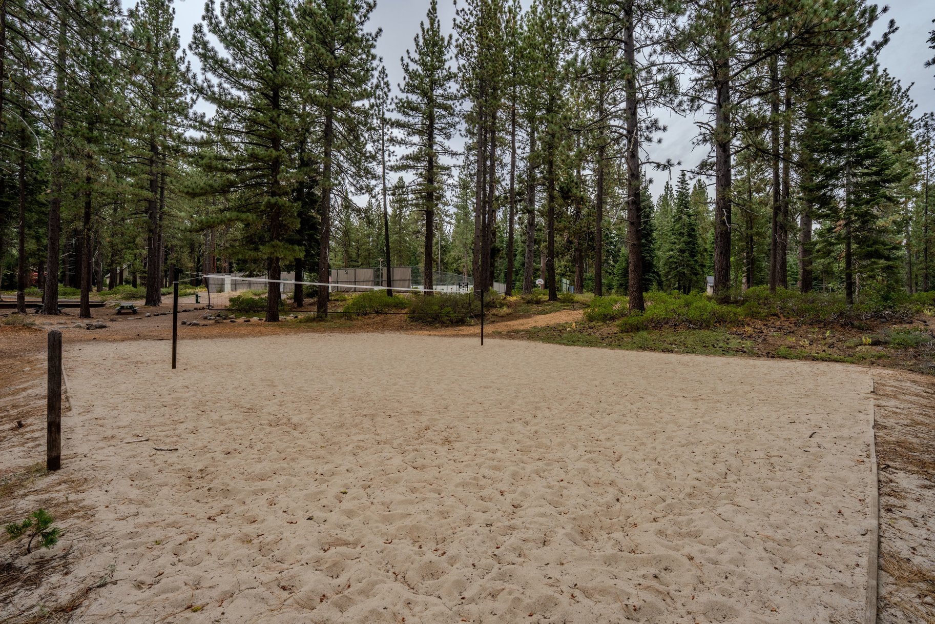  West Shore Gem - An Authentic Pineland Chalet with Detached Garage + Studio - 物件實景