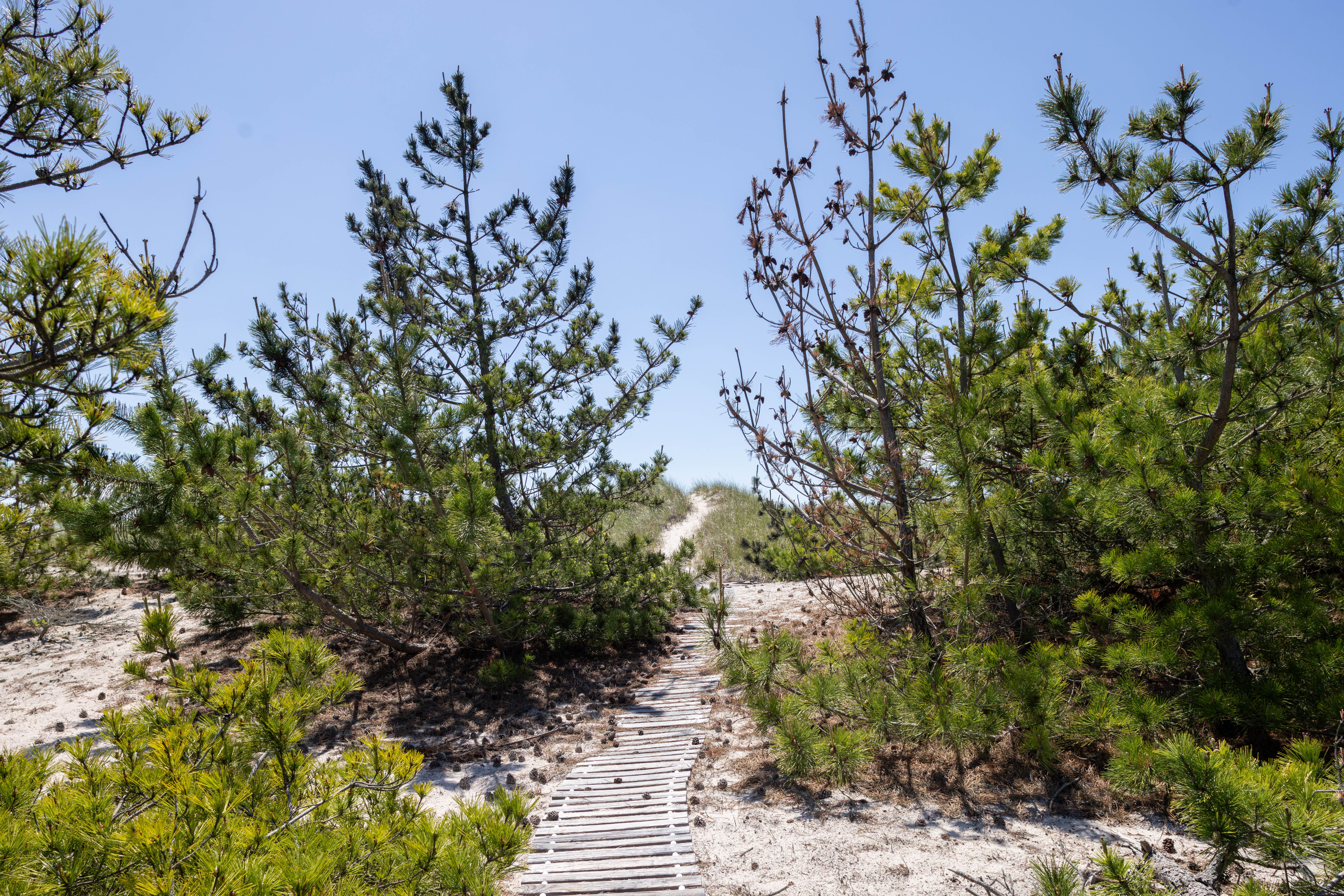  398 Dune Road, Westhampton Beach, NY 11978 - 物件實景