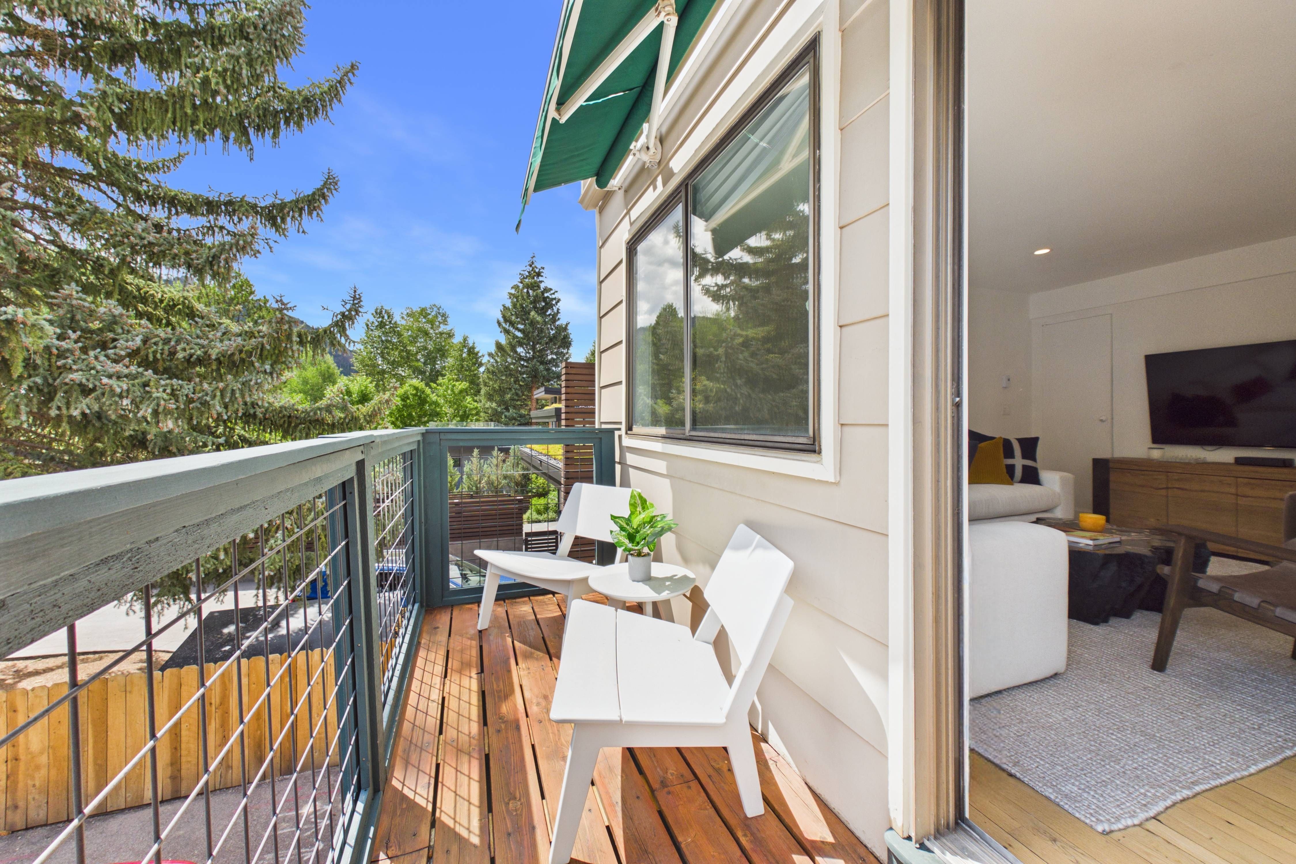  915 East Hopkins Avenue, Aspen, CO 81611 - 物件實景