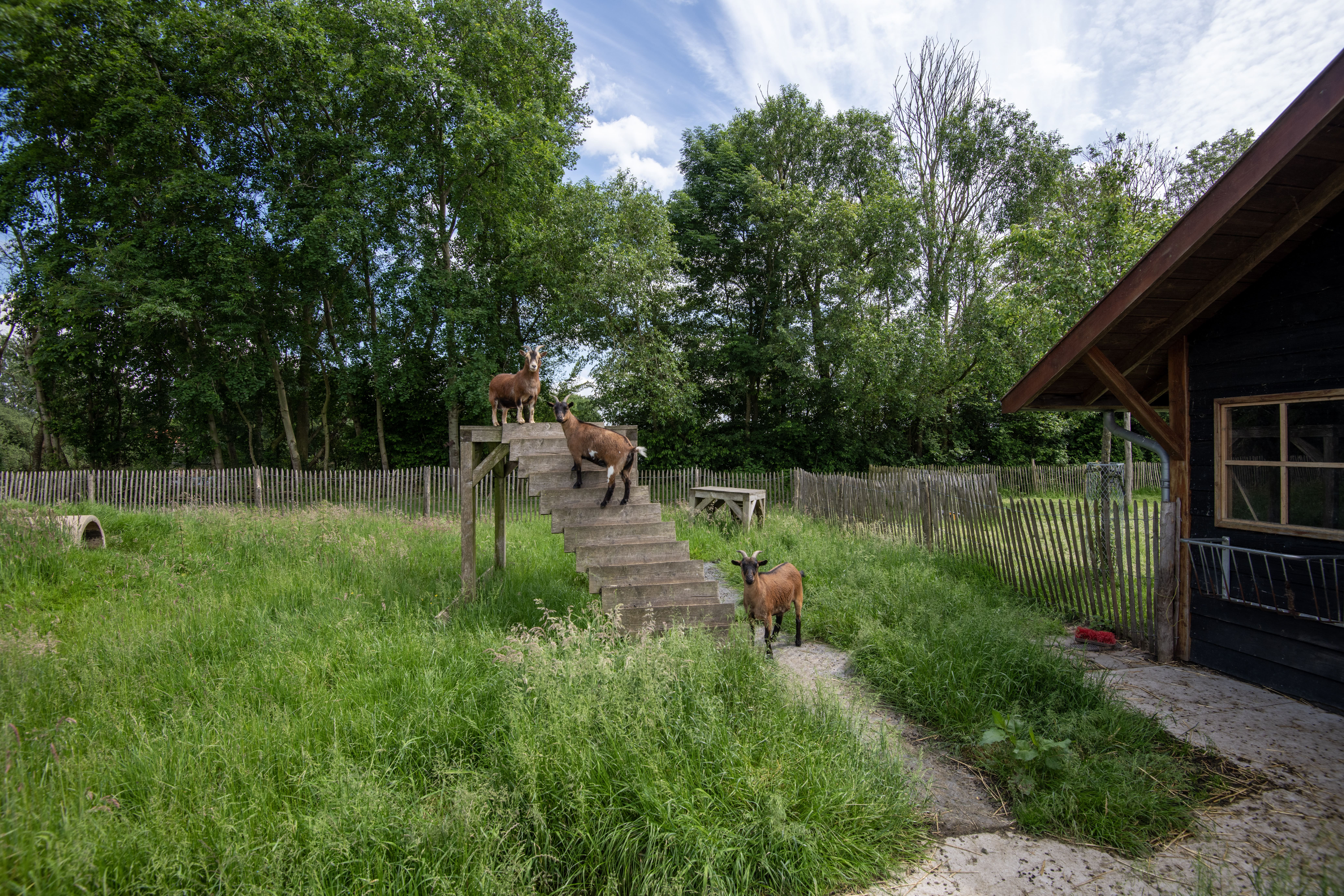 A Private Architectural Haven in the Heart of the Netherlands - 物件實景