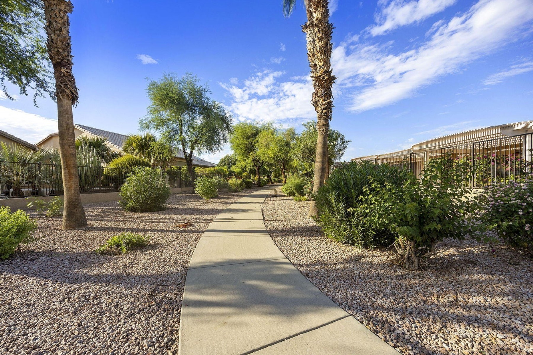  2623 N 162nd Avenue¦Goodyear, AZ - 物件實景