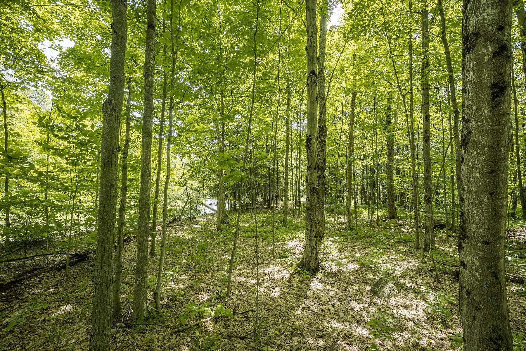  Bromont, Eastern Townships - 物件實景