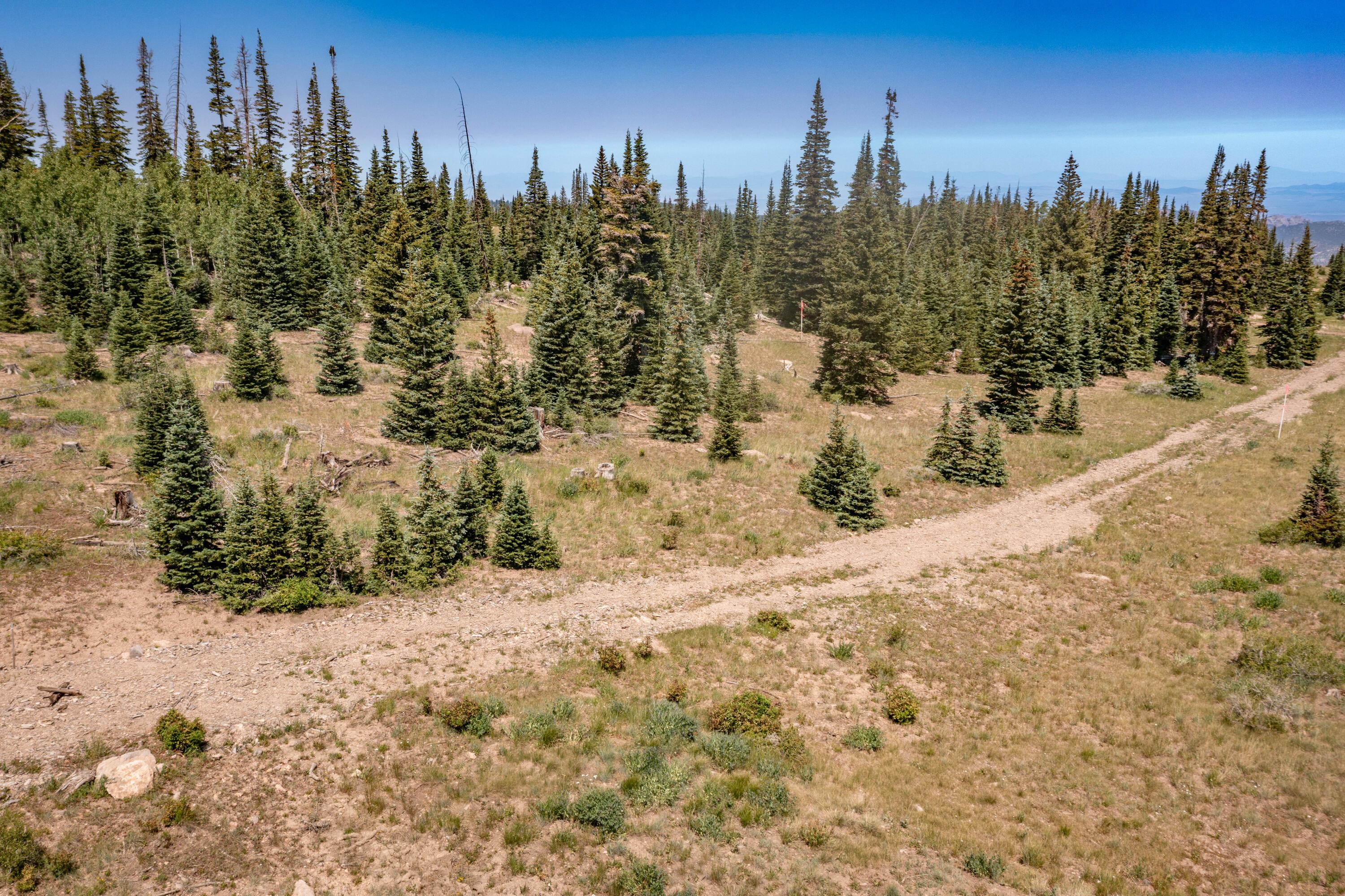 Brian Head, Utah, 84719, United States, ,Residential,For Sale,1983470