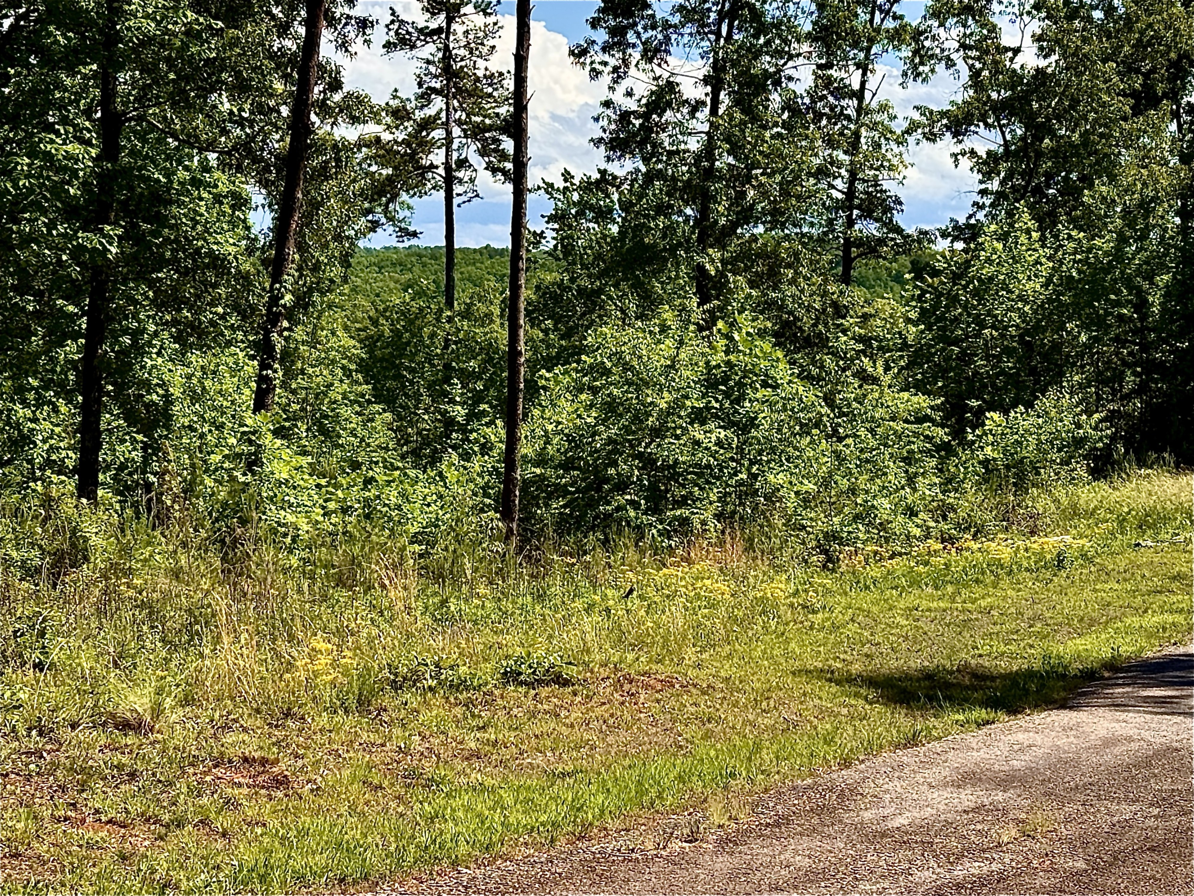  Lot 261 Rock Ledge Drive - 物件實景
