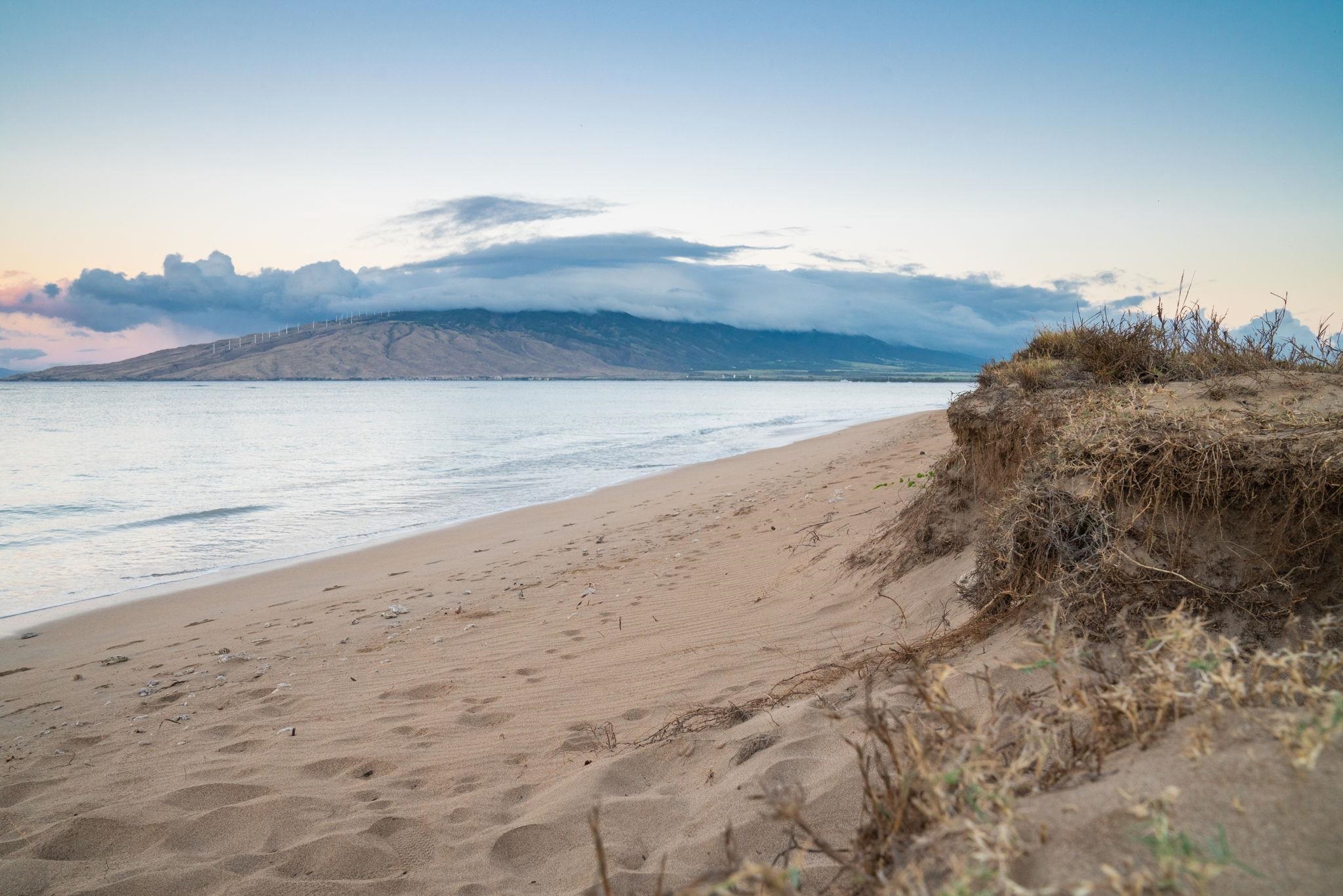 Kihei, Hawaii, 96753, United States, 1 Bedroom Bedrooms, ,1 BathroomBathrooms,Residential,For Sale,1692851