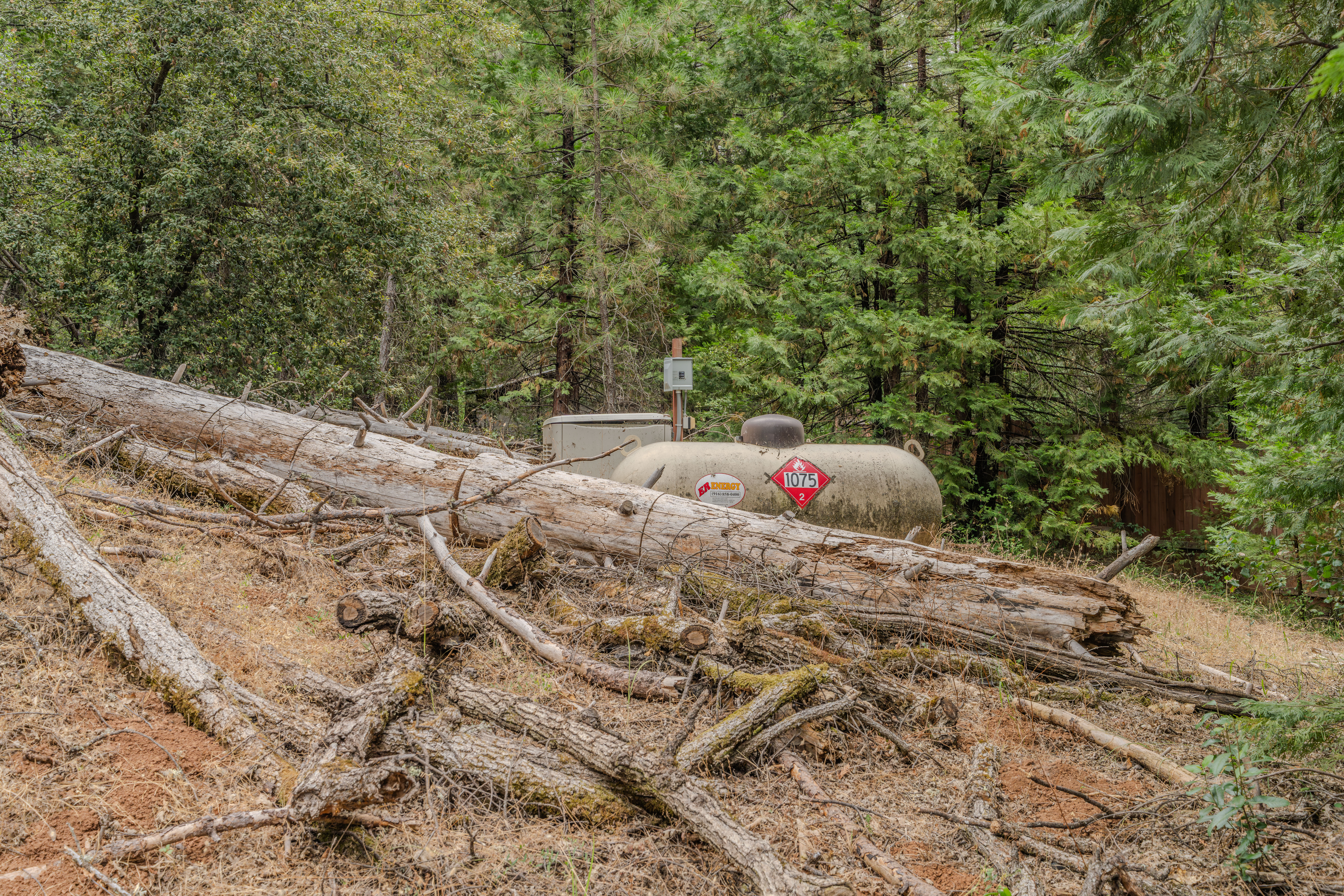  18101 Old River Road, Fiddletown, CA 95629 - 物件實景