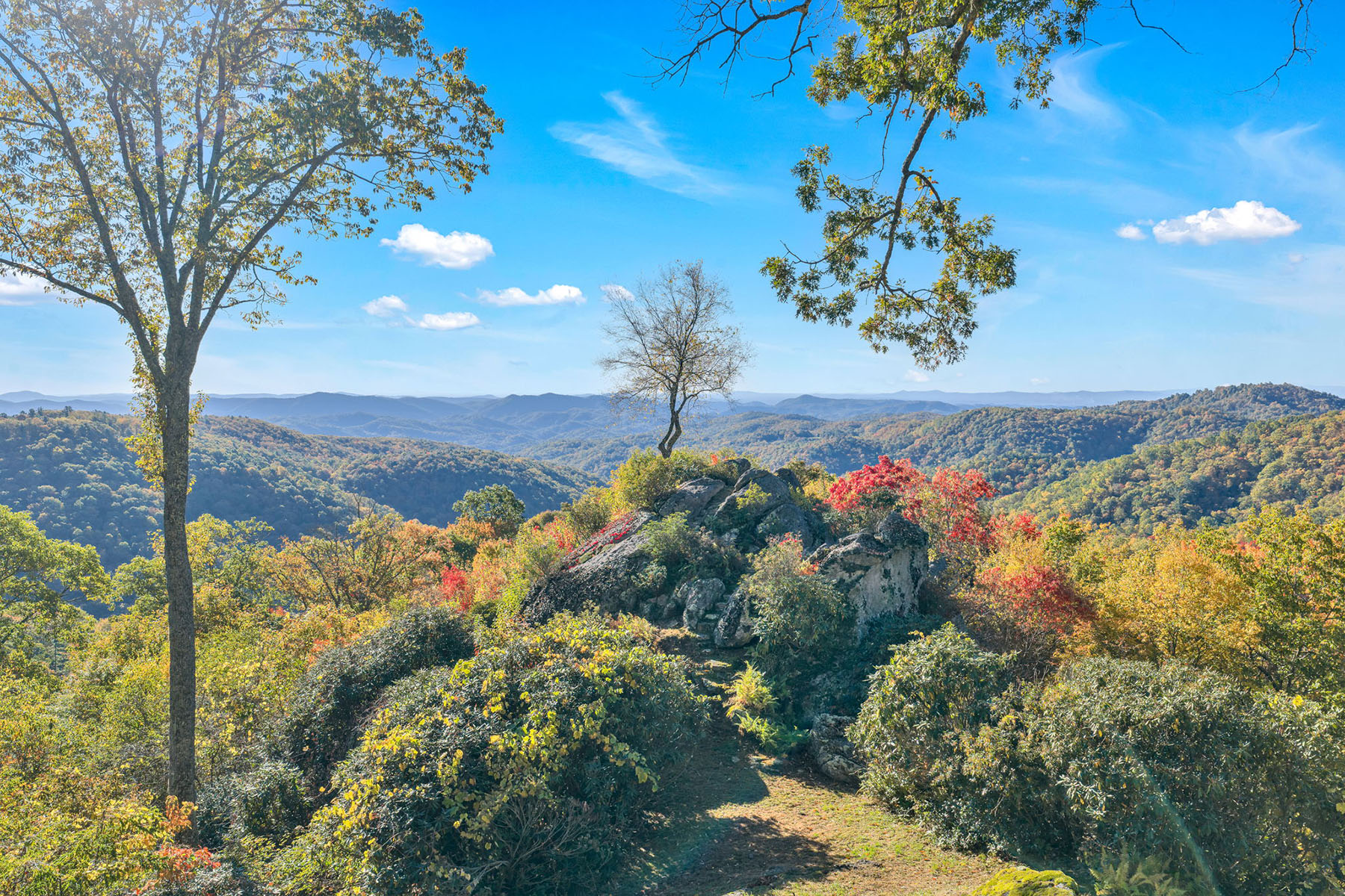 LENOIR - TIMBER RIDGE ESTATES - 物件實景